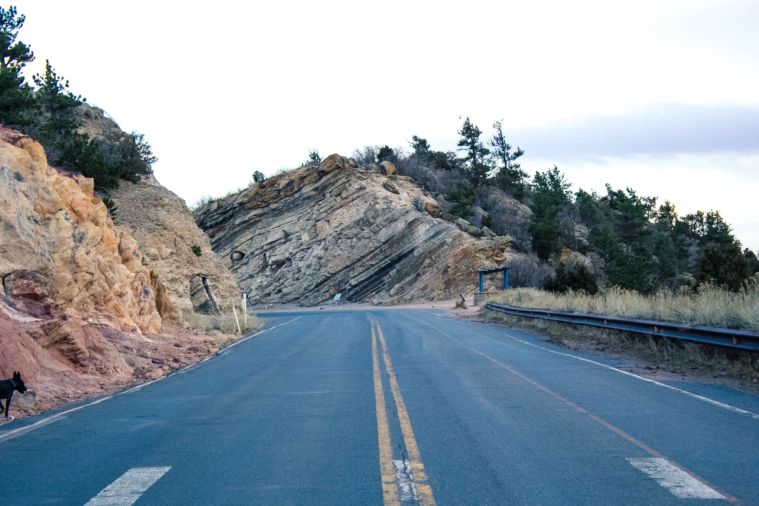 Dinosaur Ridge 