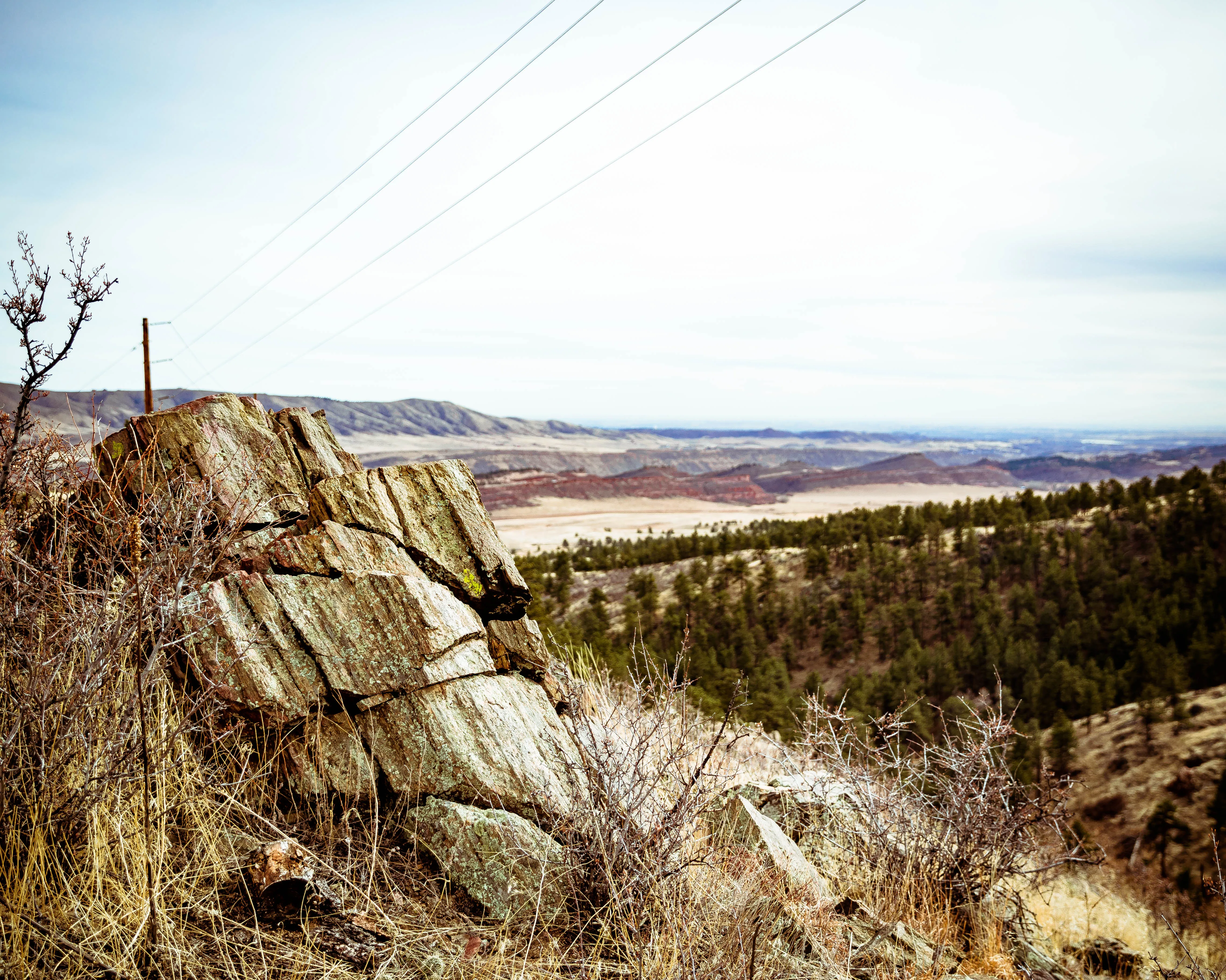 Hike the Powerline Trail in the Bobcat Ridge Natural Area