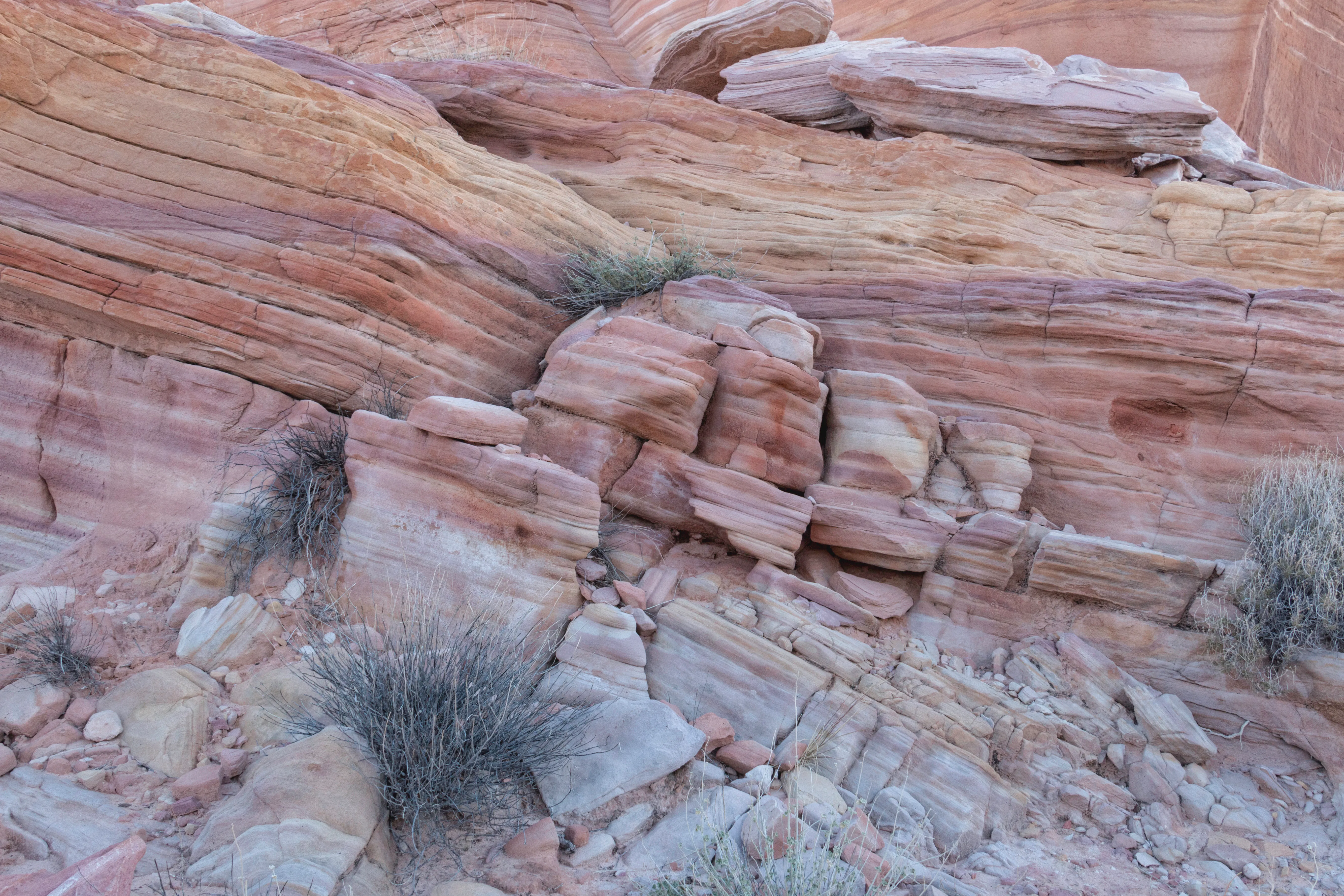 Pink Canyon
