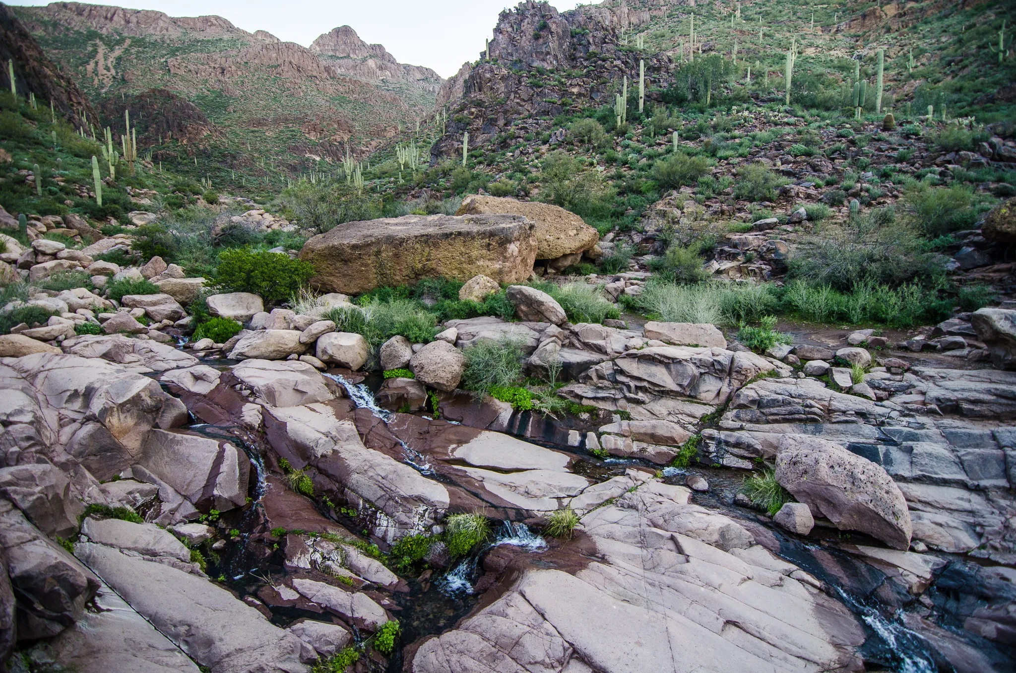 Peak 5057 via Hieroglyphic Trail