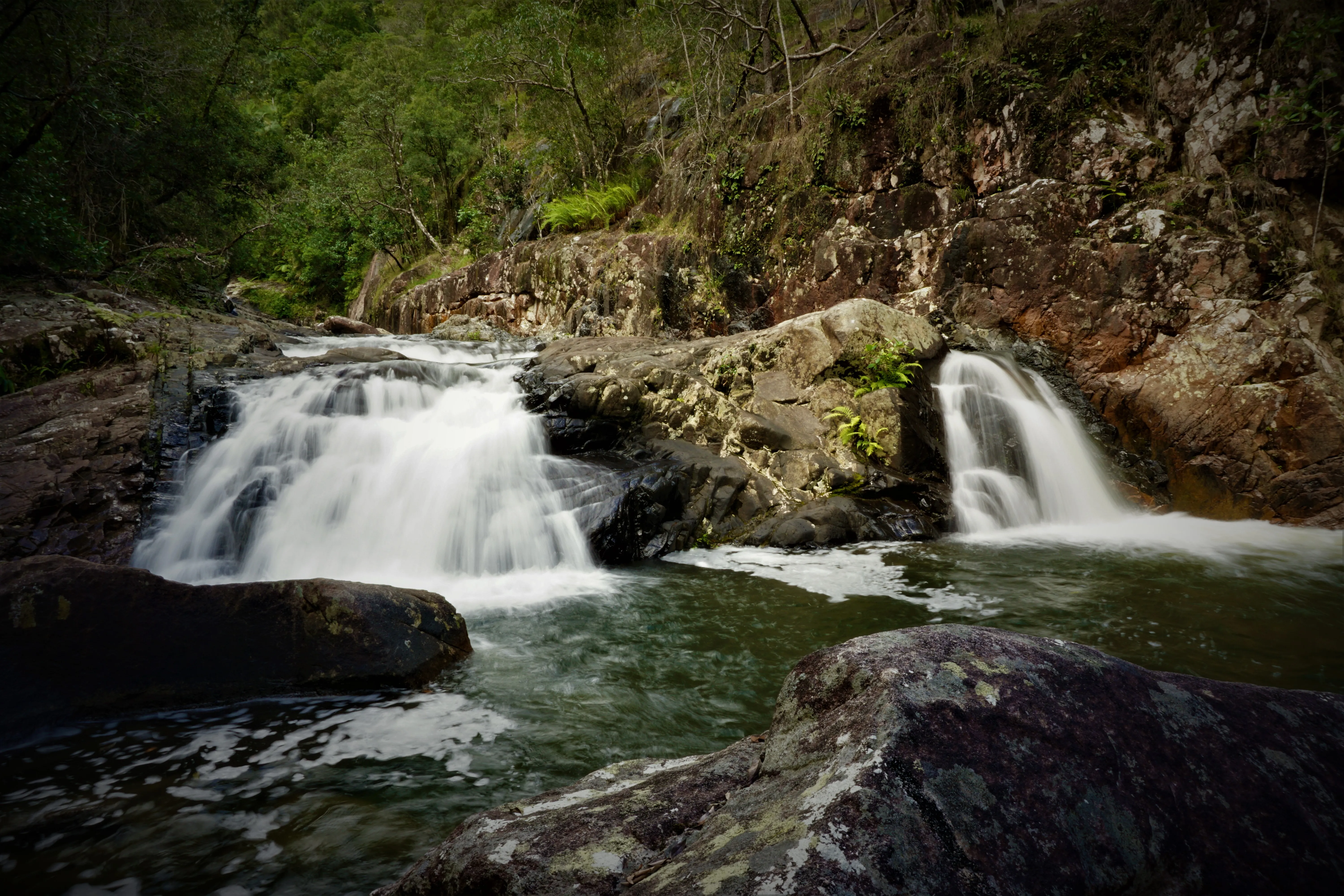 Hike the Finch Hatton Gorge