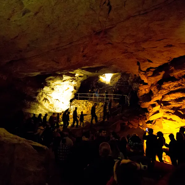 A Guide to Exploring Mammoth Cave National Park