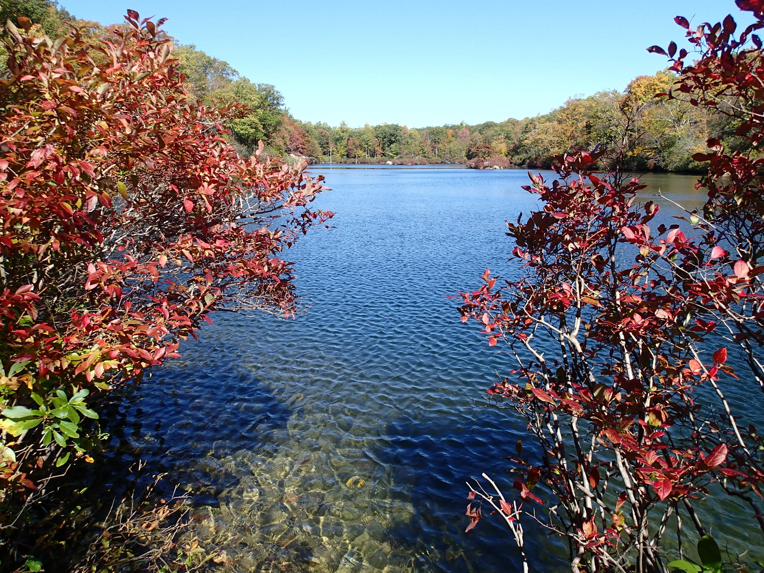 Beaver Pond via Appalachian Trail