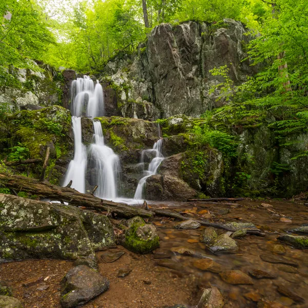 A Gorgeous Summer Adventure at Doyles River Falls