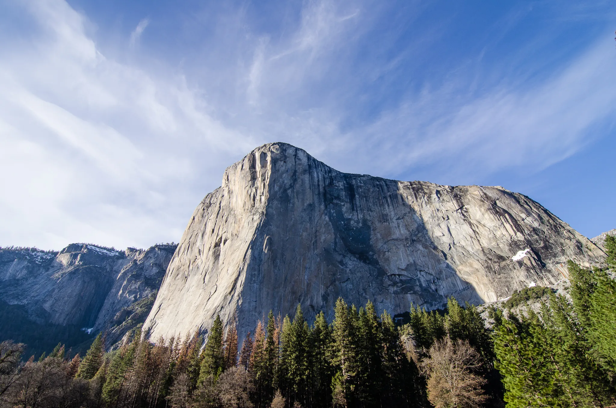El Capitan Meadow