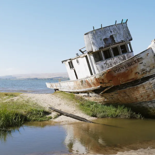 Point Reyes Can Be the Most Amazing Place You've Ever Been To