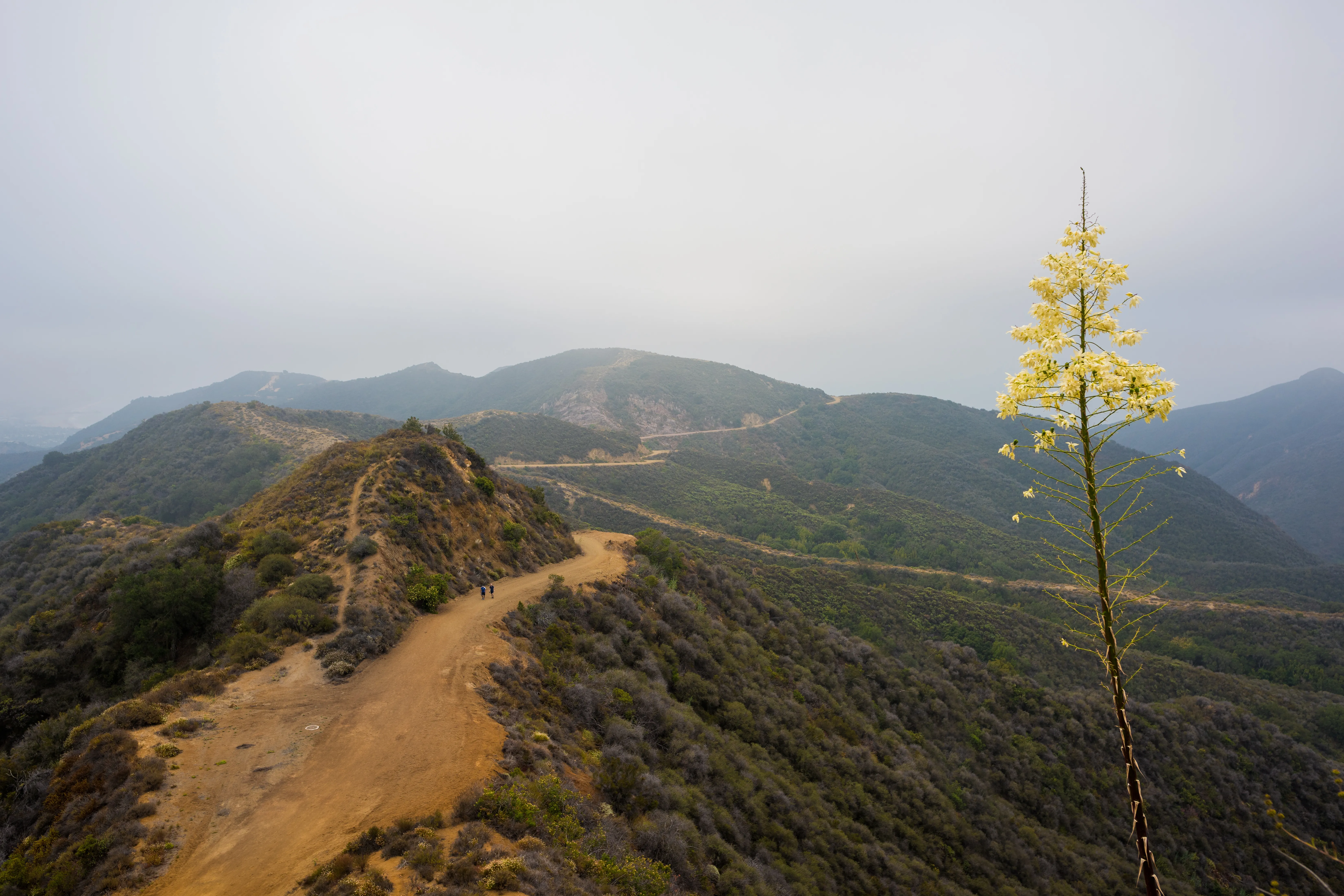 Parker Mesa Overlook via Trippet Ranch