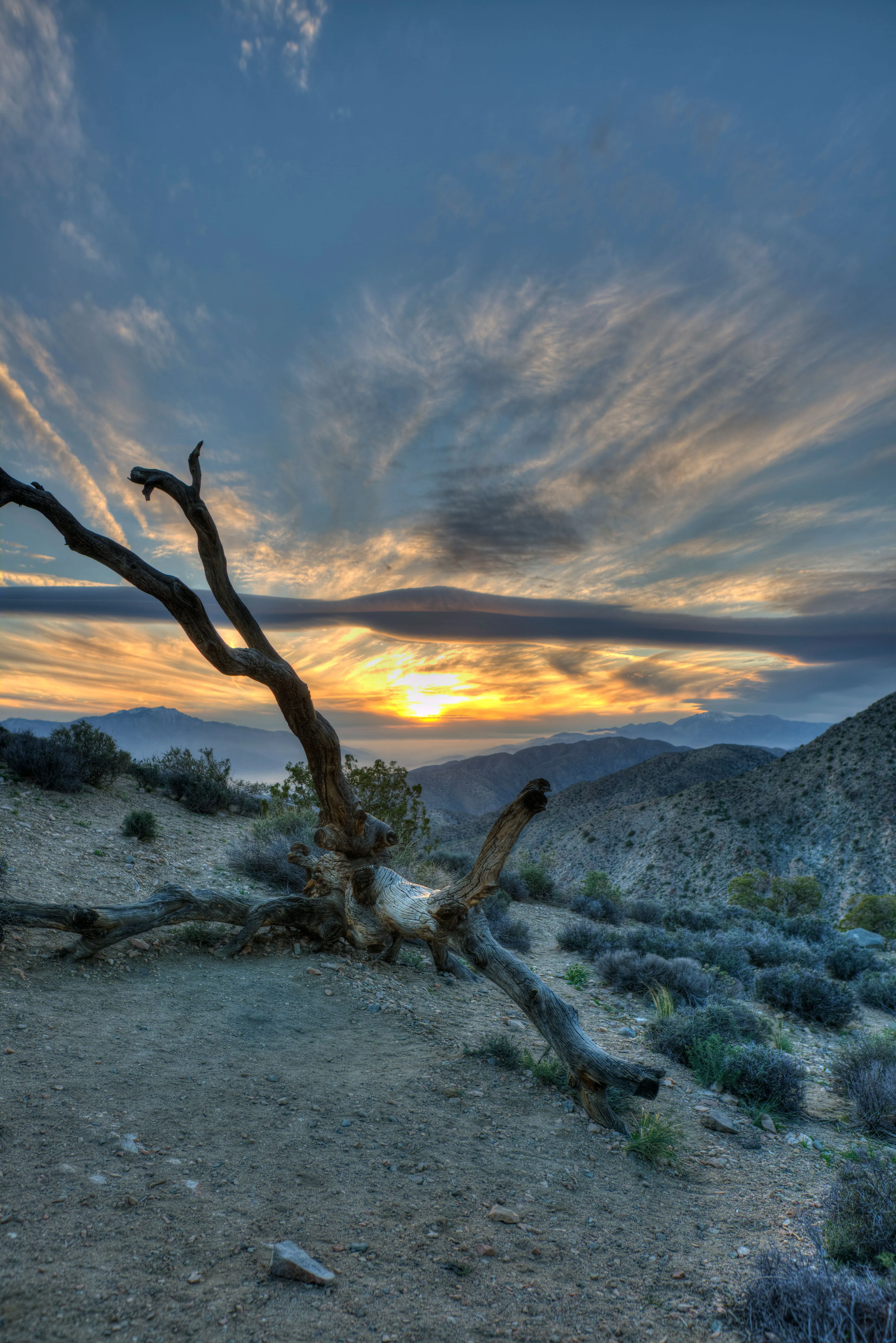 Catch a Sunset at Keys View in Joshua Tree NP