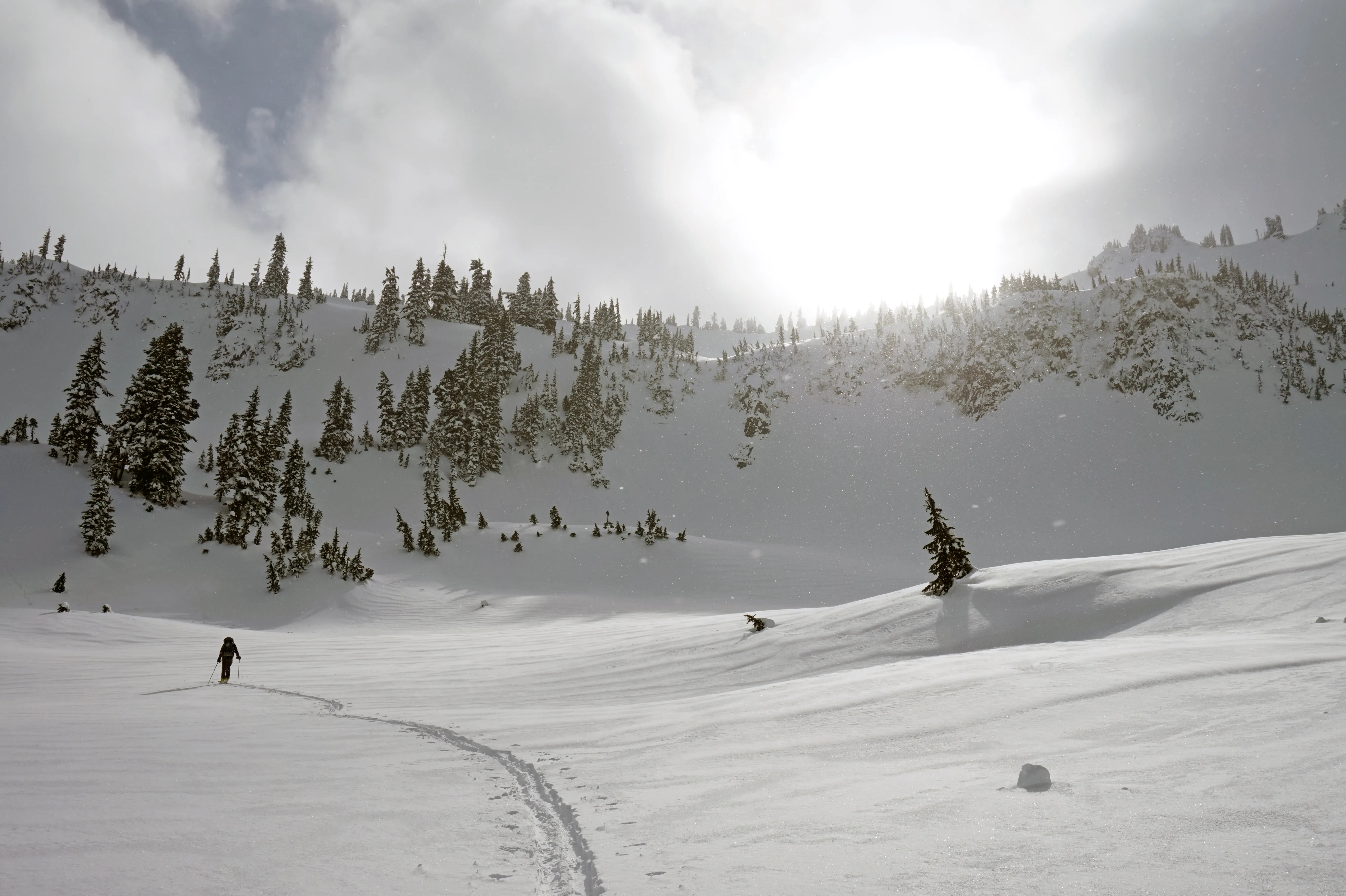 Ski Tour to The Castle & Pinnacle Peak