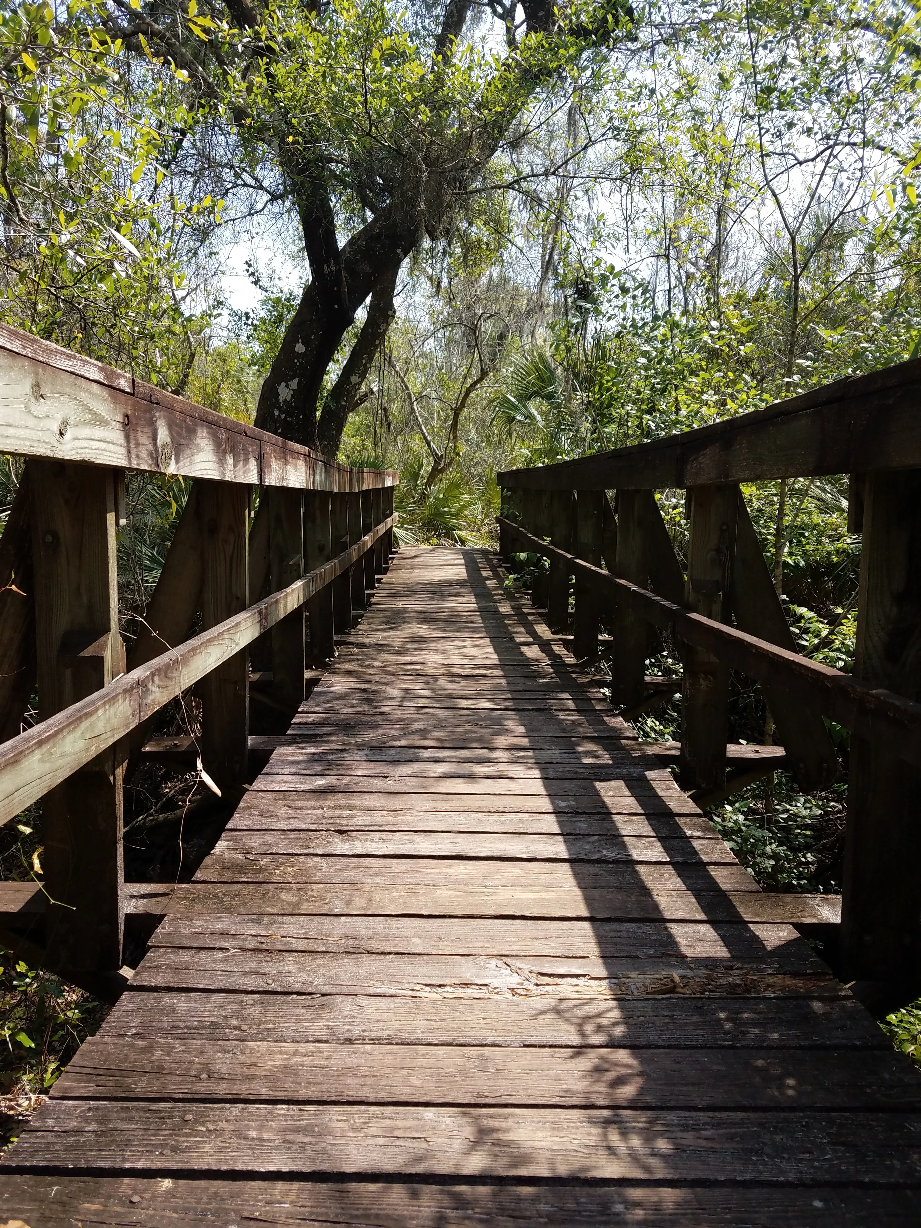Hike Little Manatee River Loop
