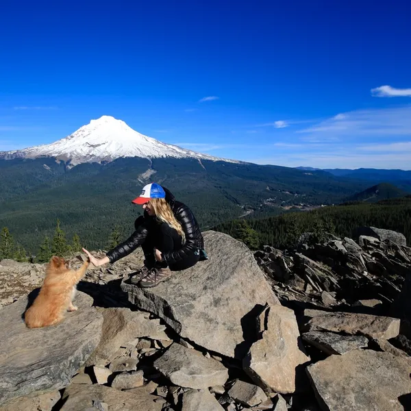 4 Tips for Hiking with Your Small Dog 