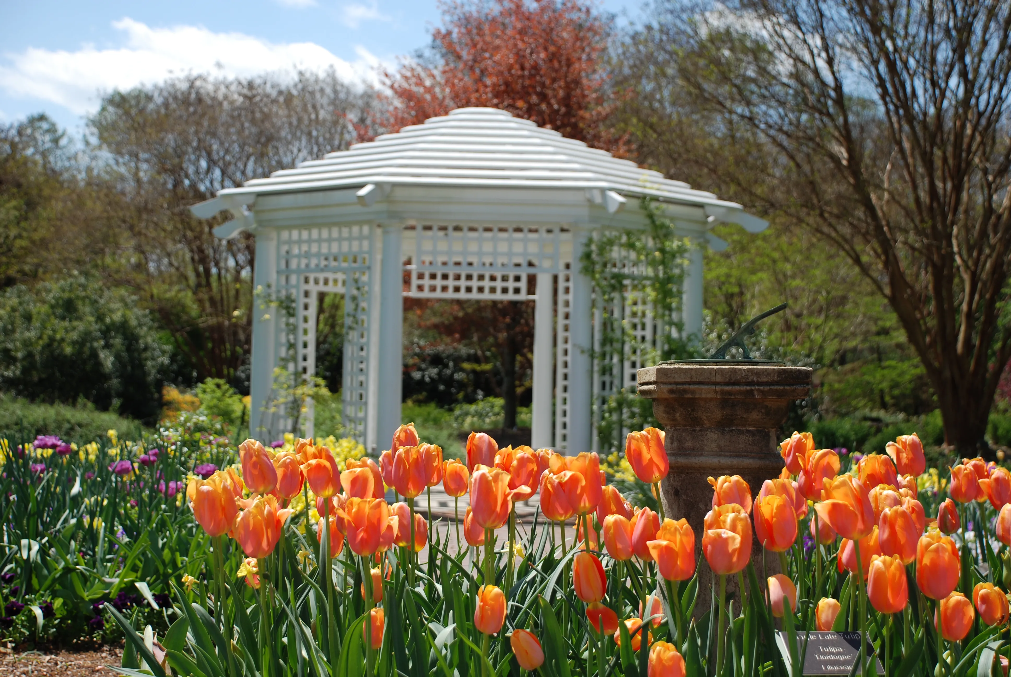 Visit Lewis Ginter Botanical Garden