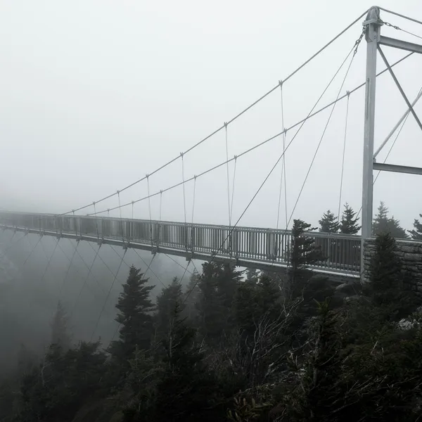 The Top 4 Places to Hike and Photograph in North Carolina
