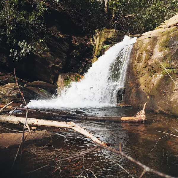 7 Photos from a Hiking Gem Near Atlanta, Georgia