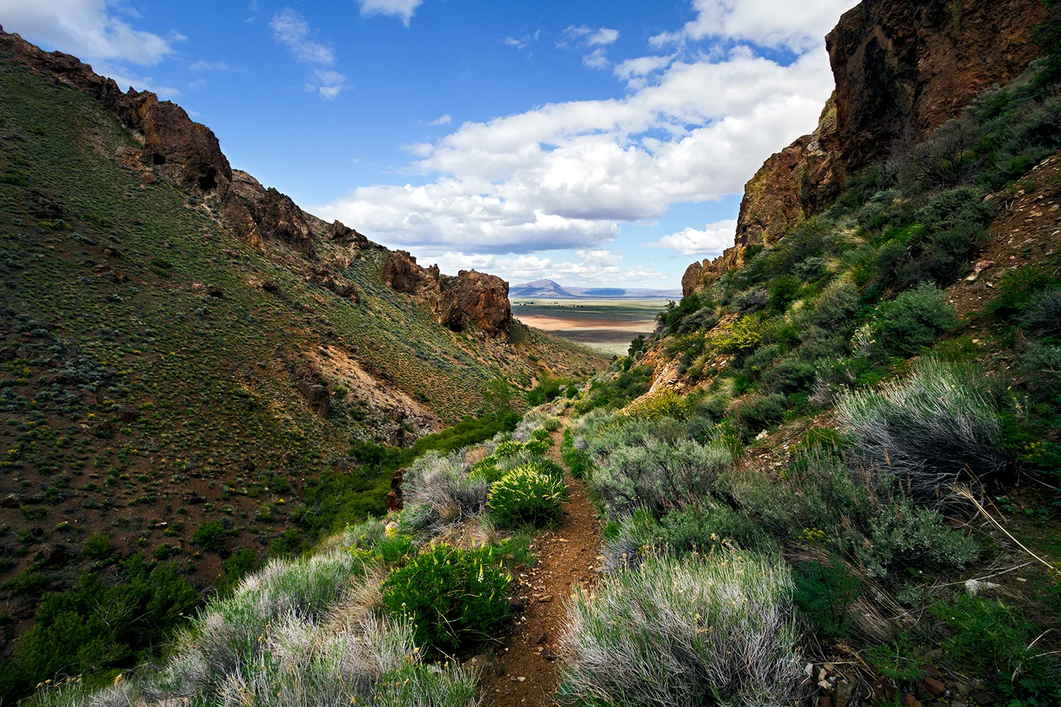 Hike Pike Creek Trail in the Steens Mountains