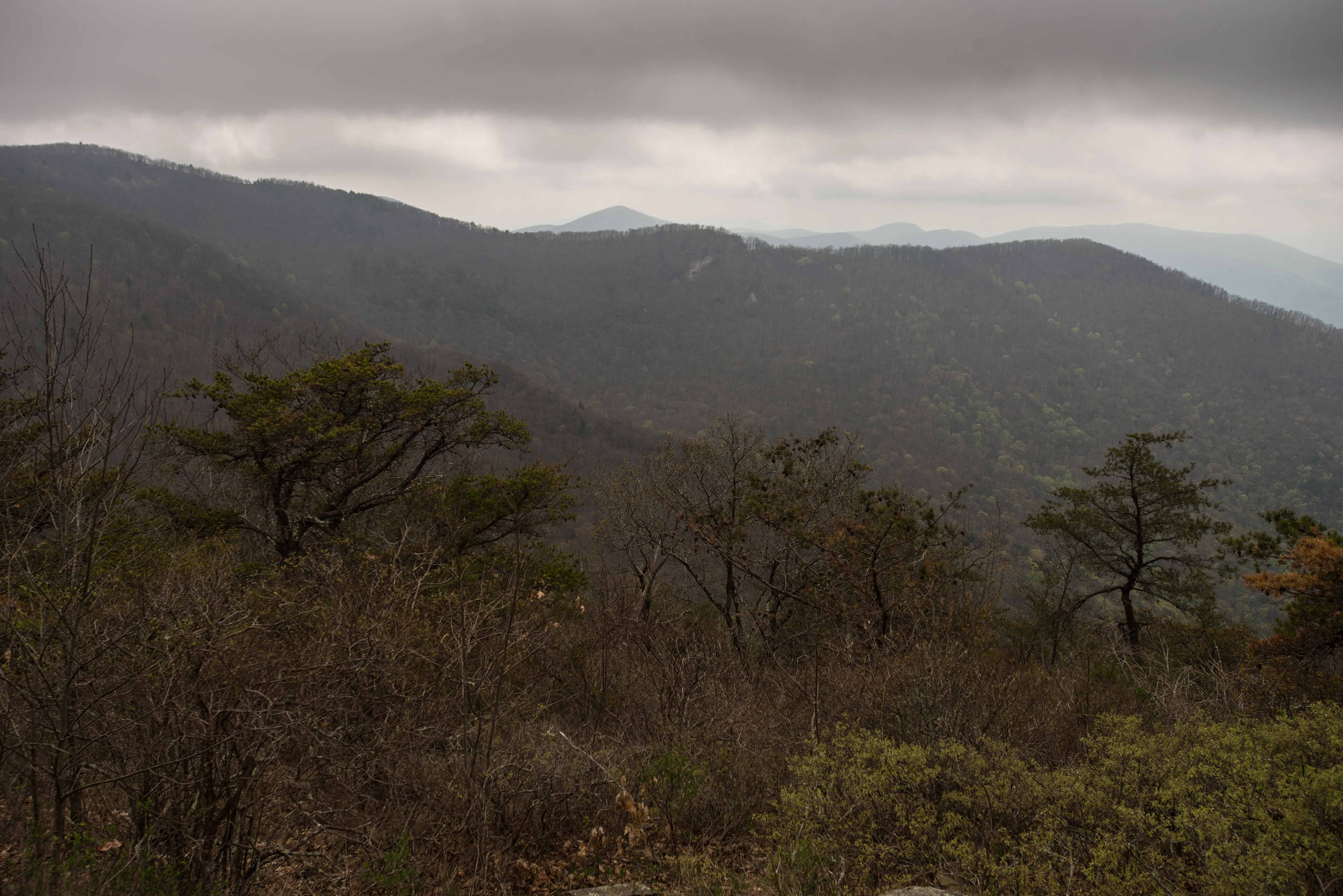 Appalachian Trail from Blood Mountain to Cowrock Mountain