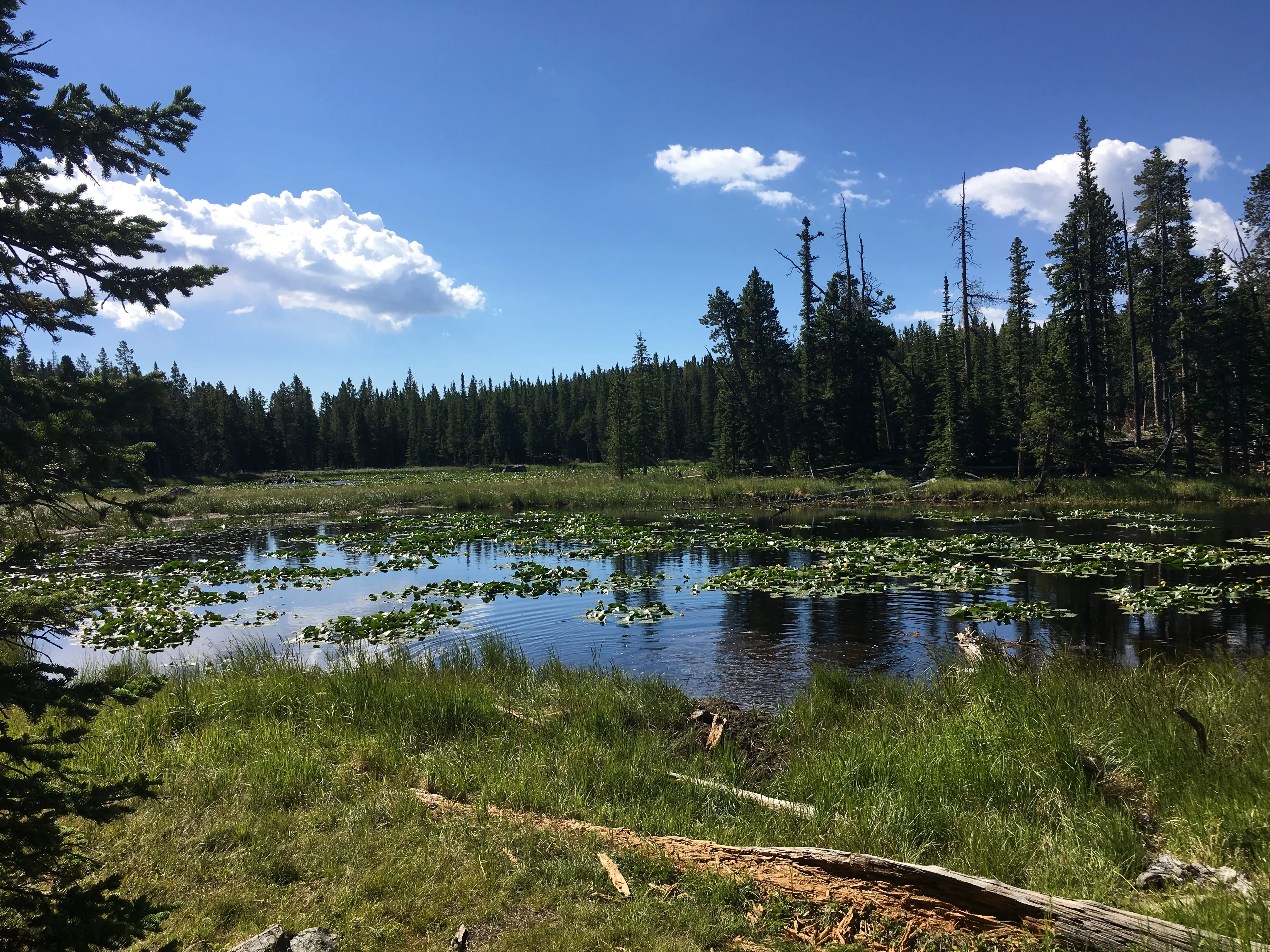 Backpack to Willow Lake in the Cloud Peak Wilderness