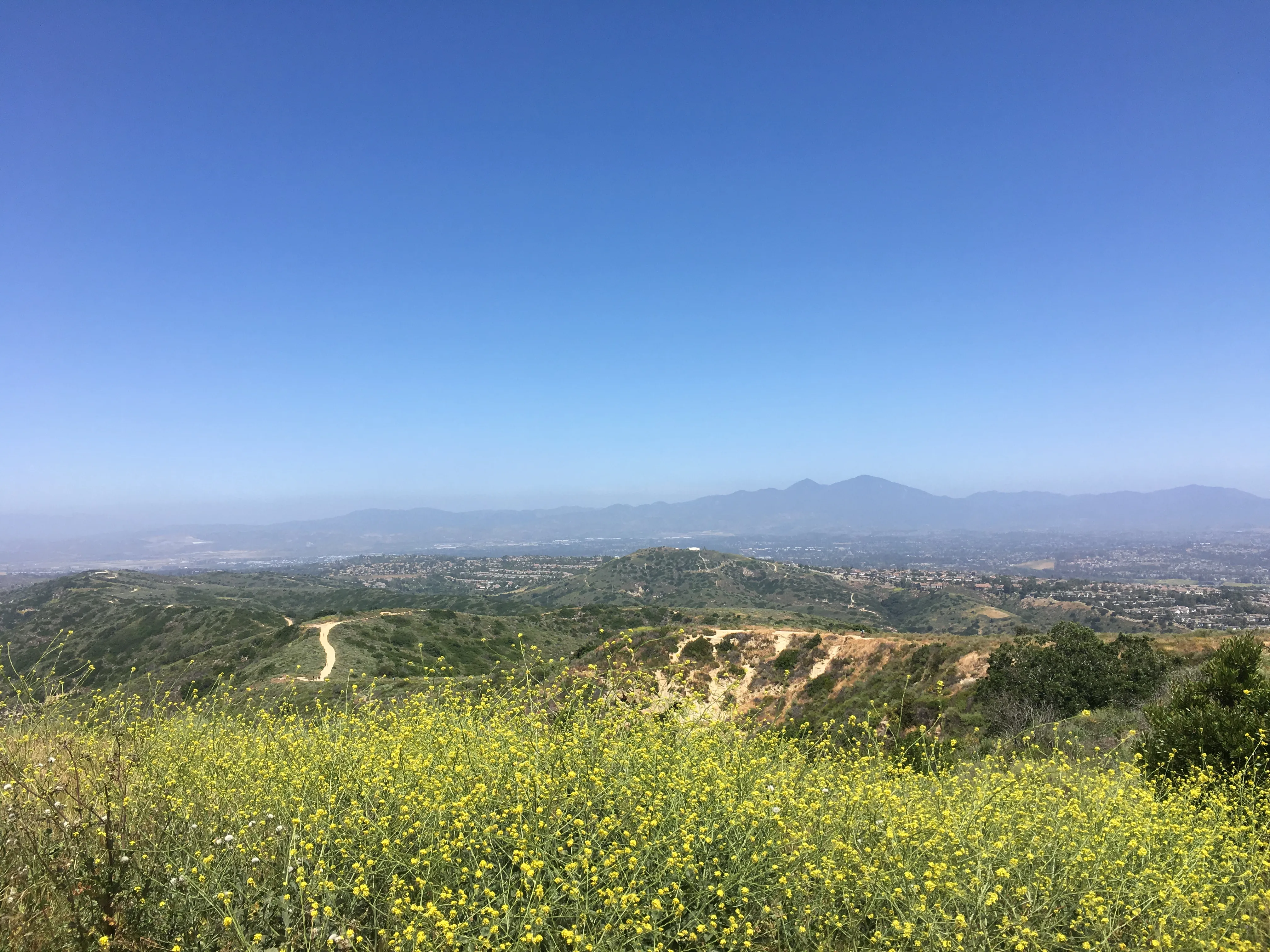 Top of the World via West Ridge Trail