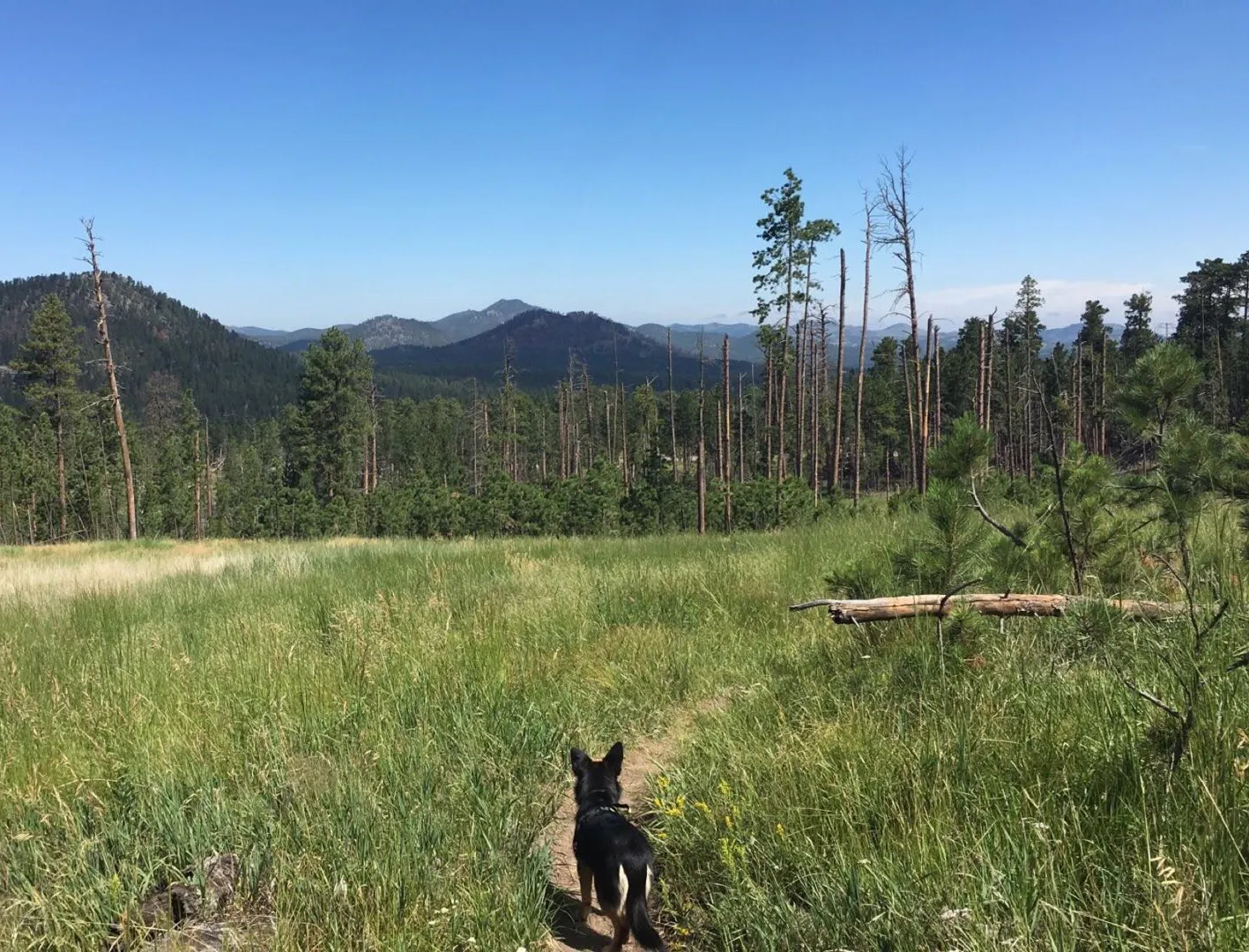 Hike Willow Creek Trail