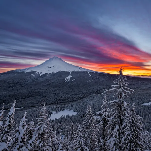 5 Reasons to Wake Up Early and Catch a Sunrise