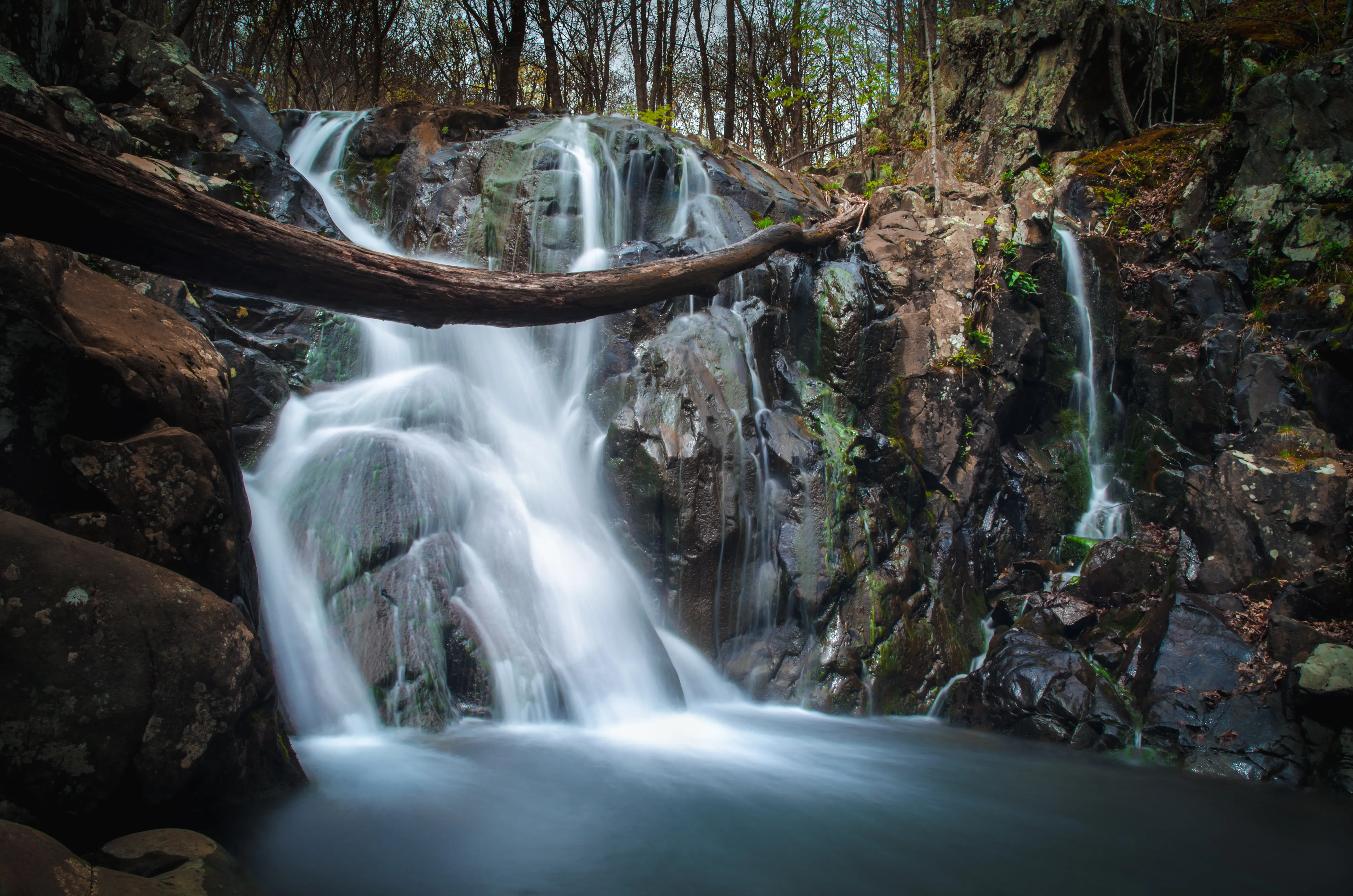 Rose River Falls to Dark Hollow Falls Loop