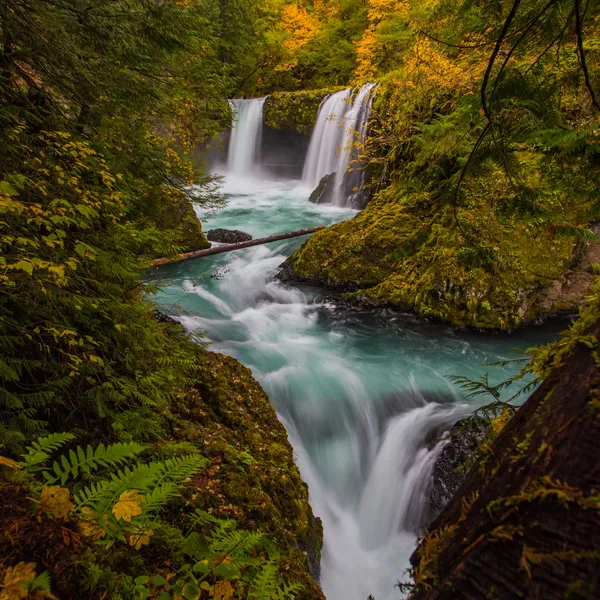Why the Columbia River Gorge Is Better Than a National Park