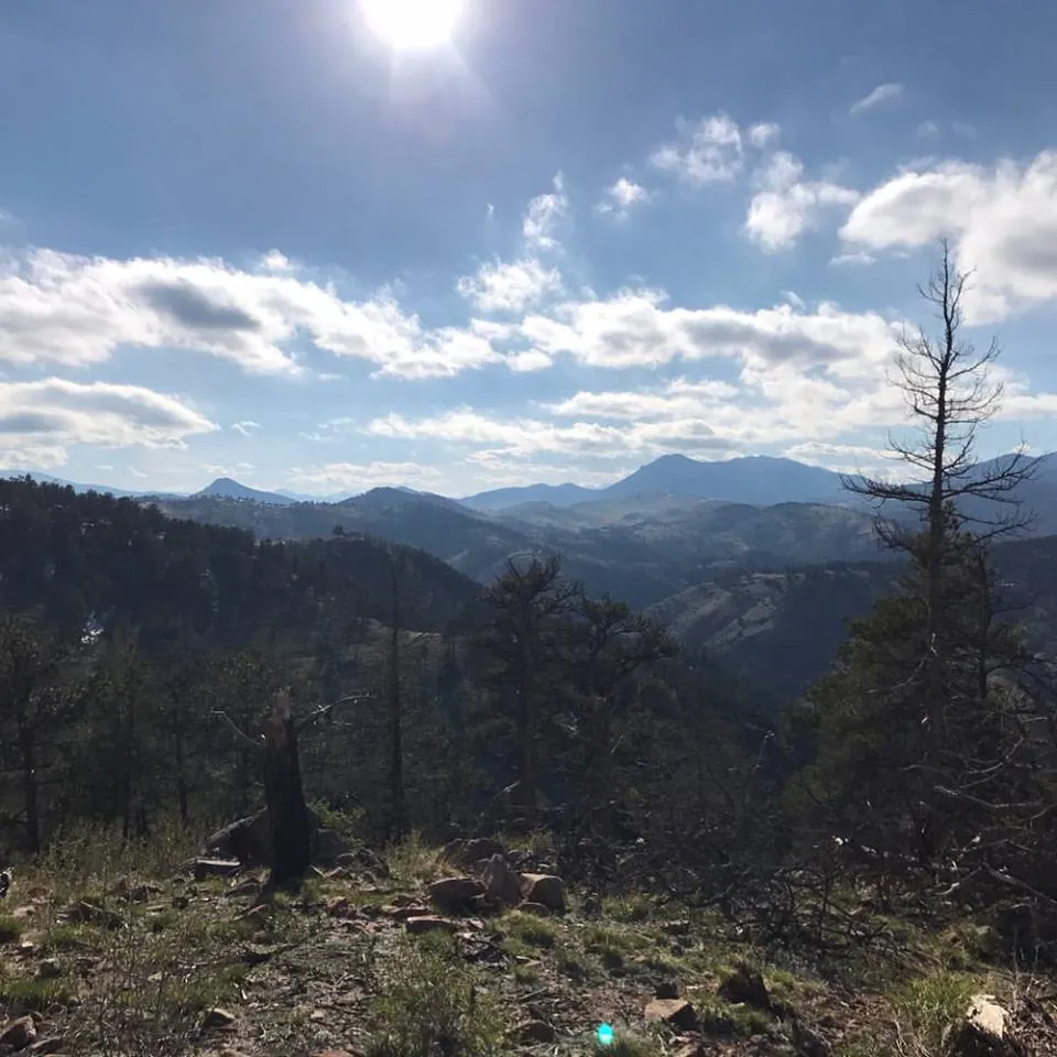 Mount Galbraith Loop via Cedar Gulch