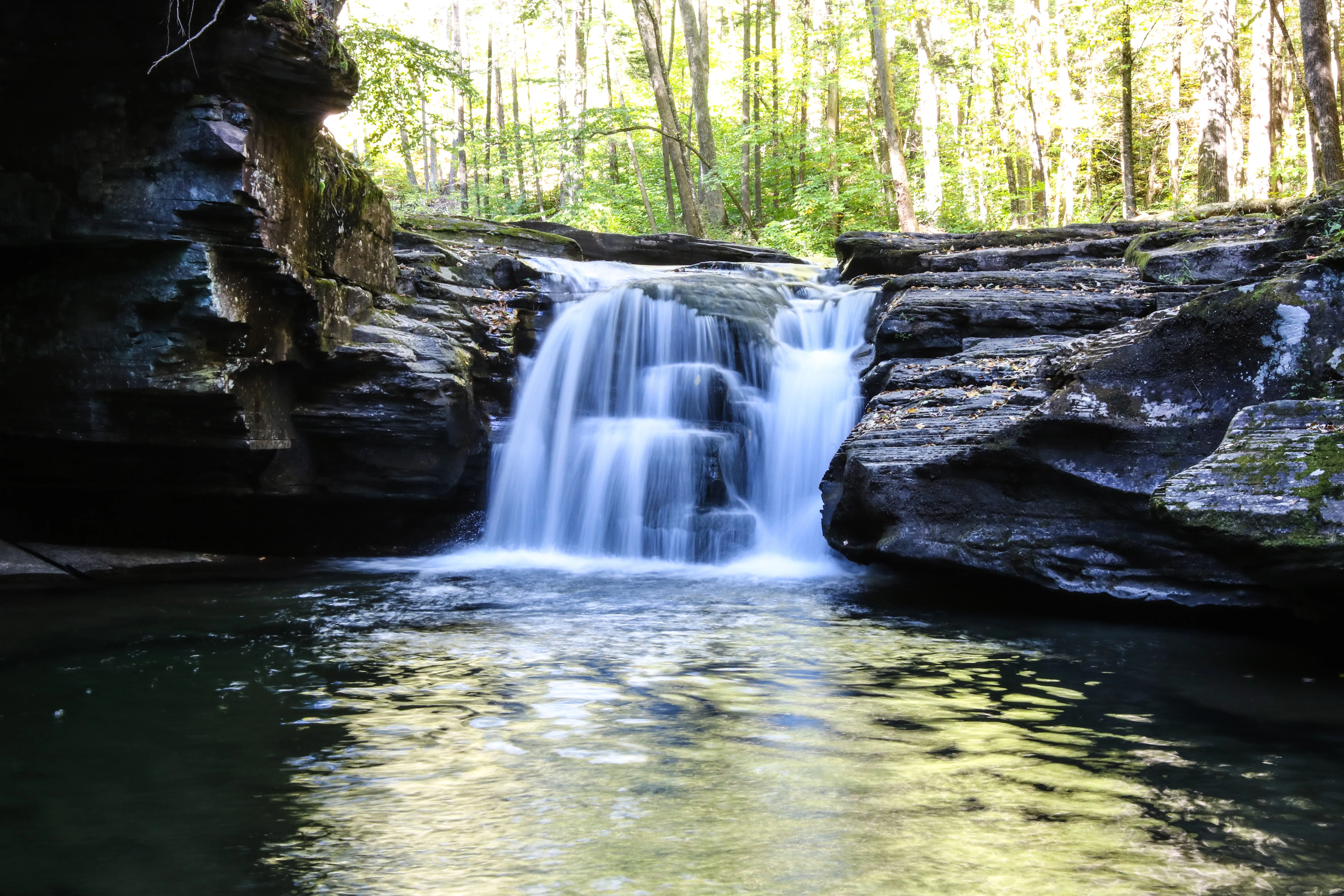 Hike to Mill Creek Falls in the Loyalsock State Forest