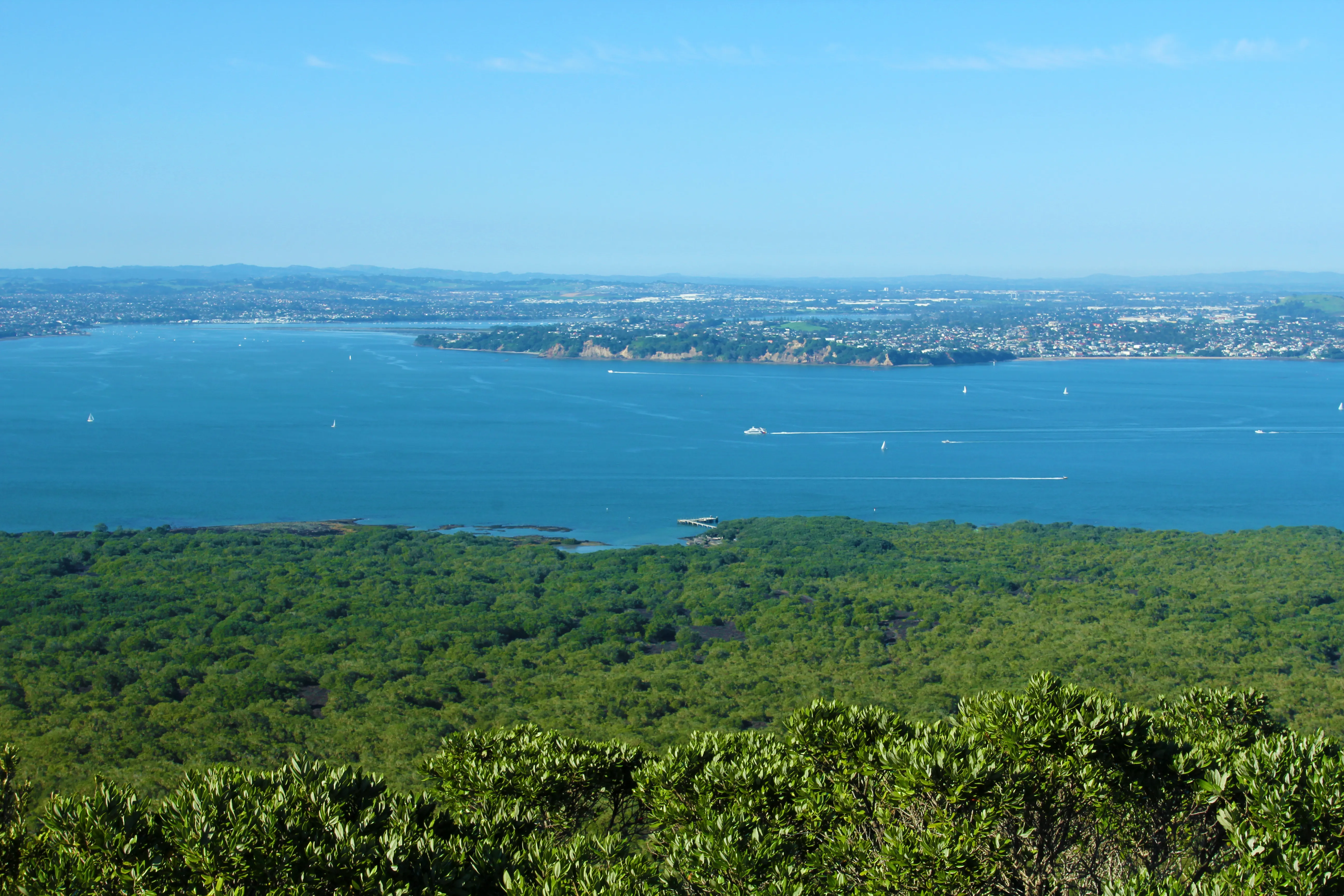 Hike the Summit Track on Rangitoto Island