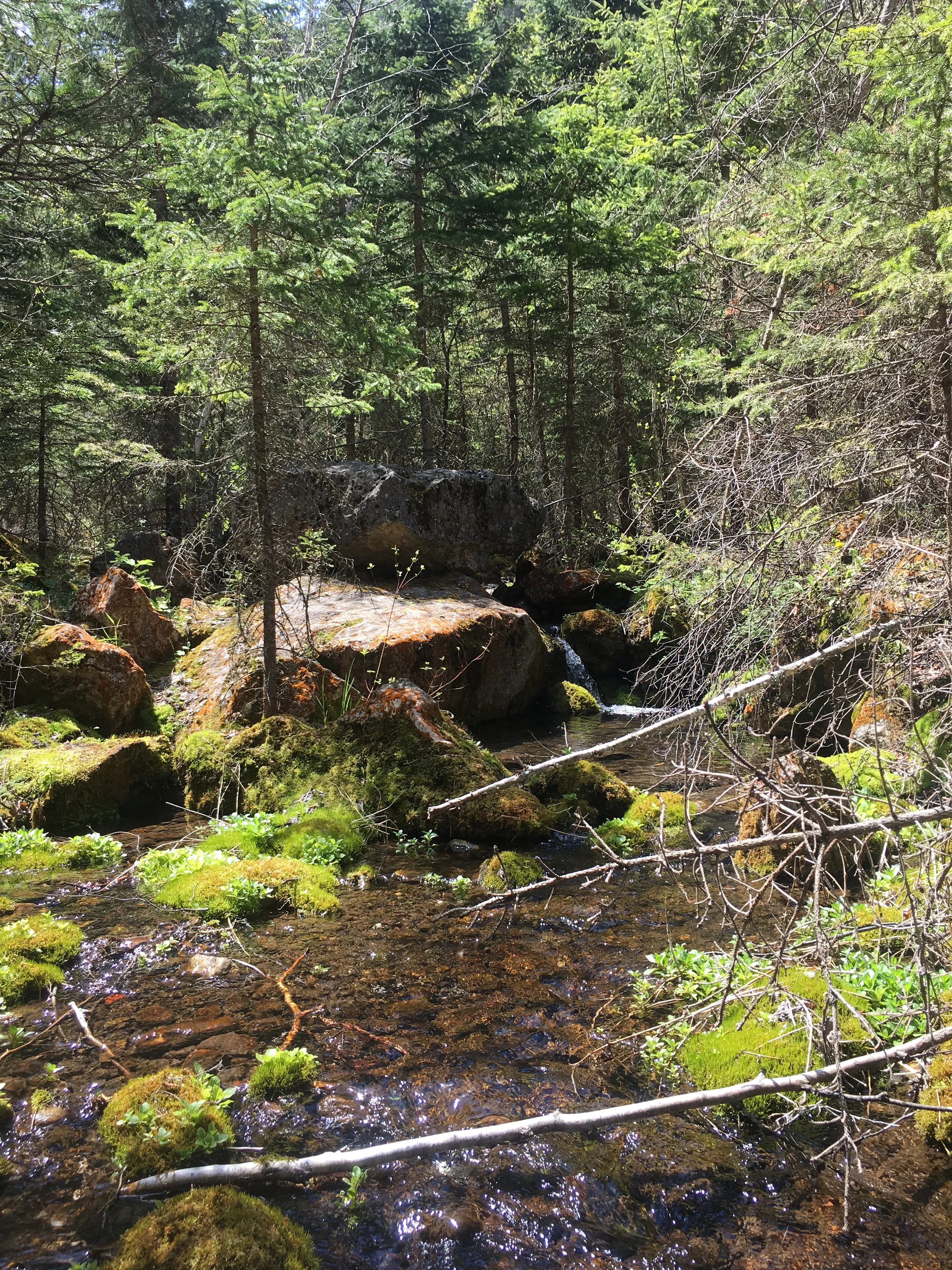 Hike Botany Canyon