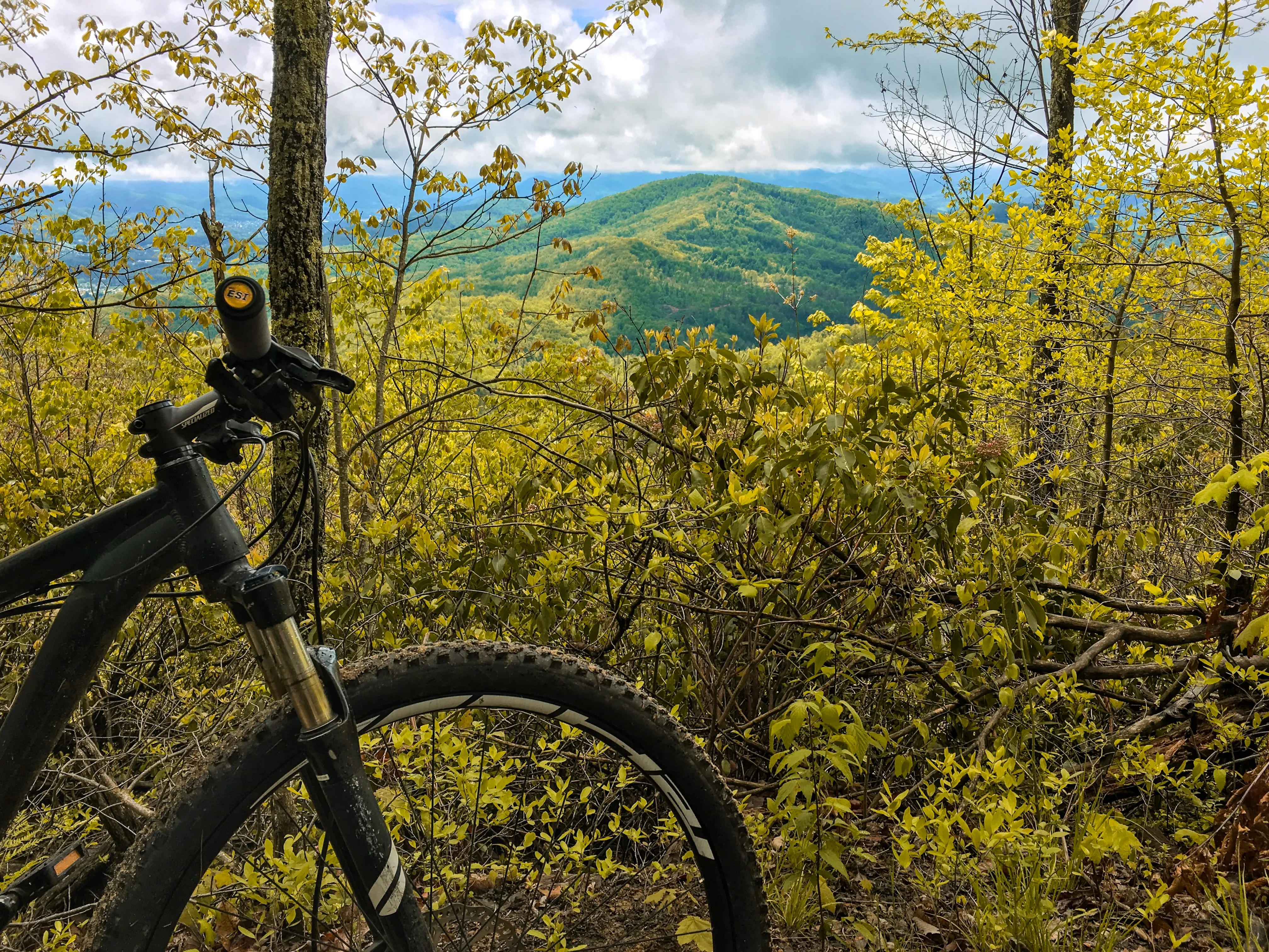 Pinnacle Mountain Trail