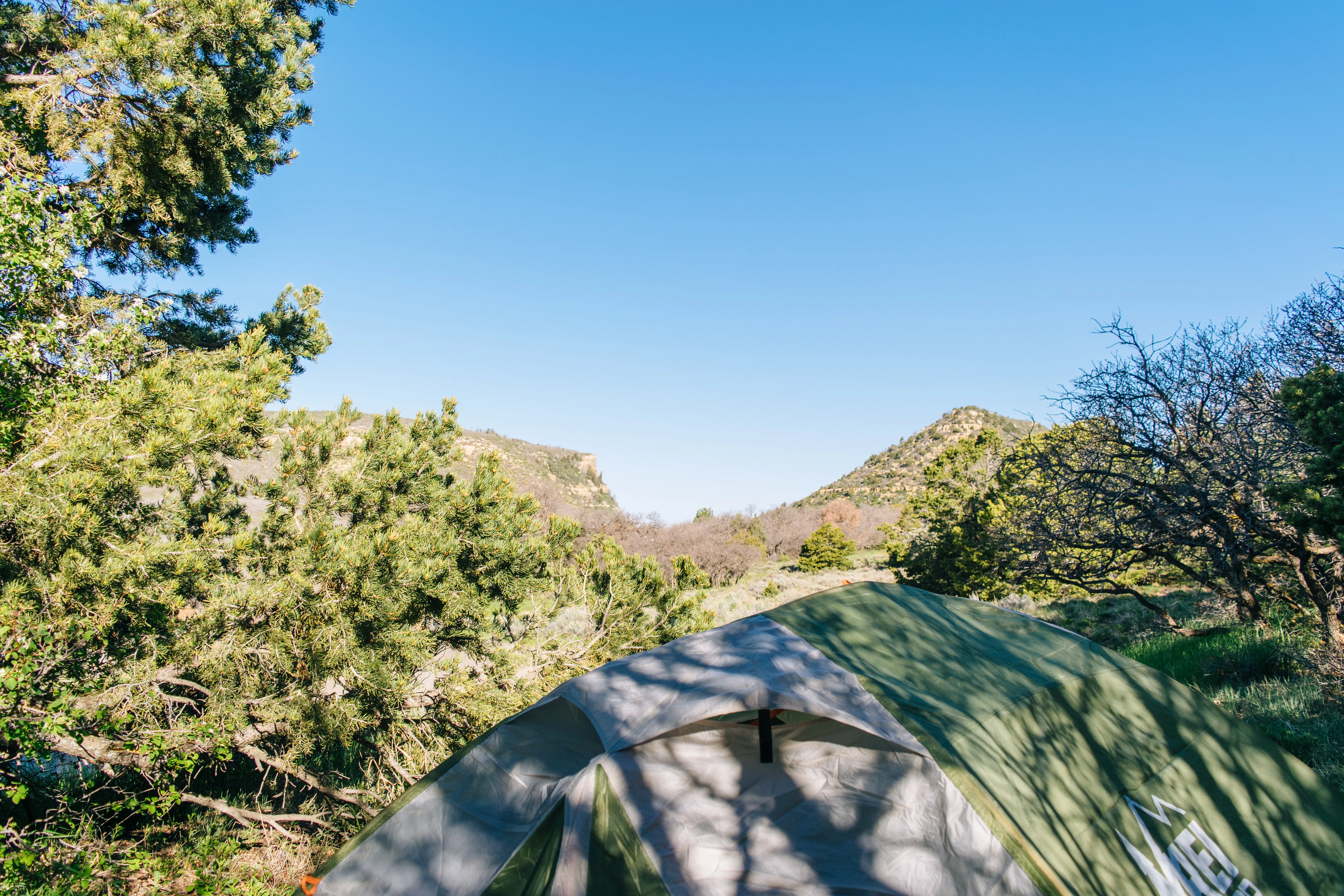 Camp at Morefield Campground