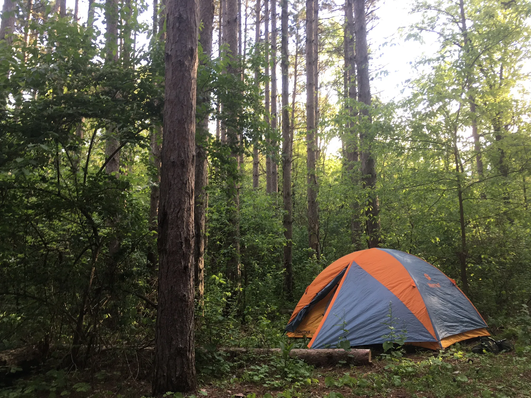 Backpack the Yellow Trail at Sand Ridge State Forest