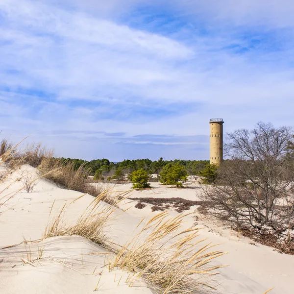 The 10 Best Hikes in Delaware