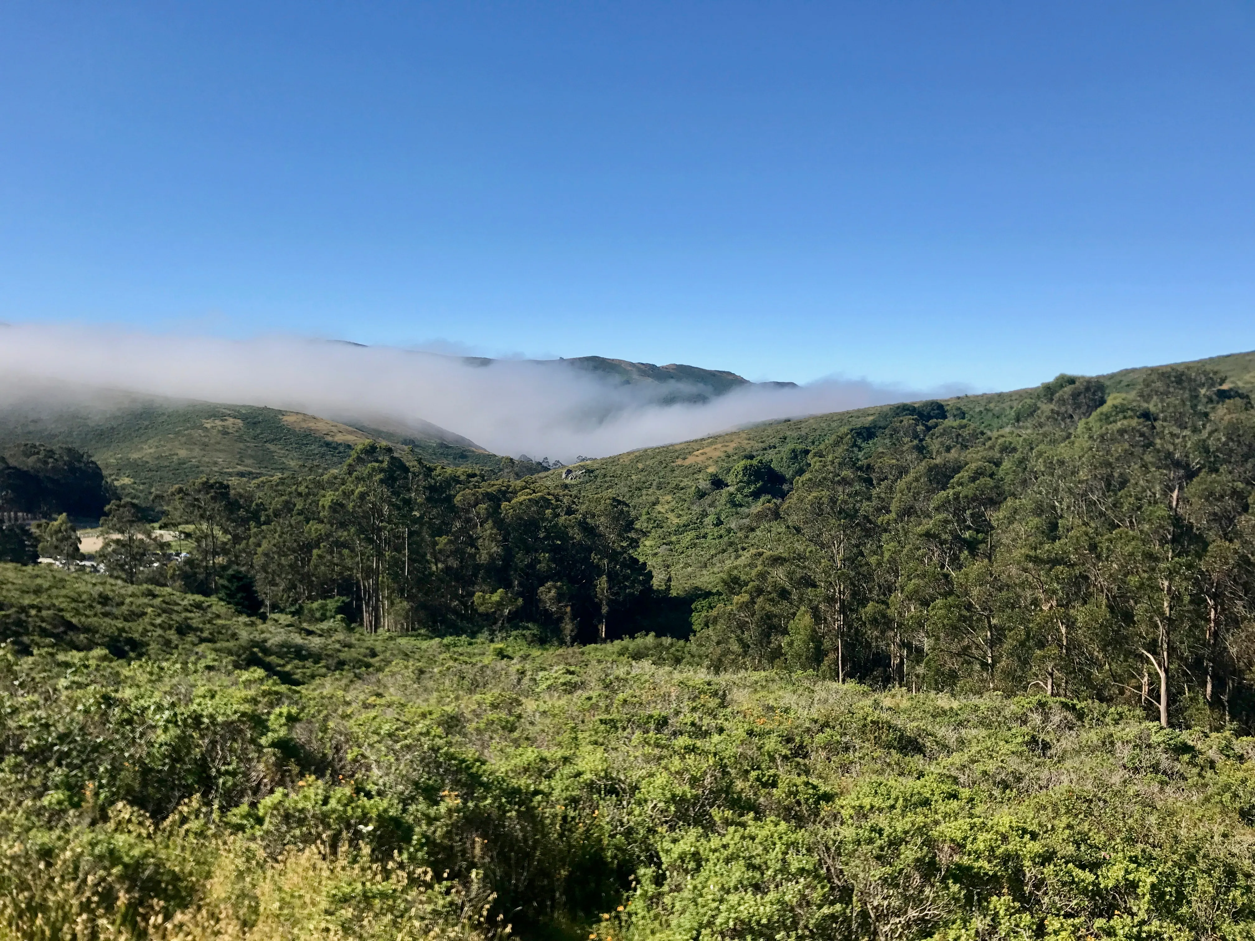 Coyote Ridge Loop