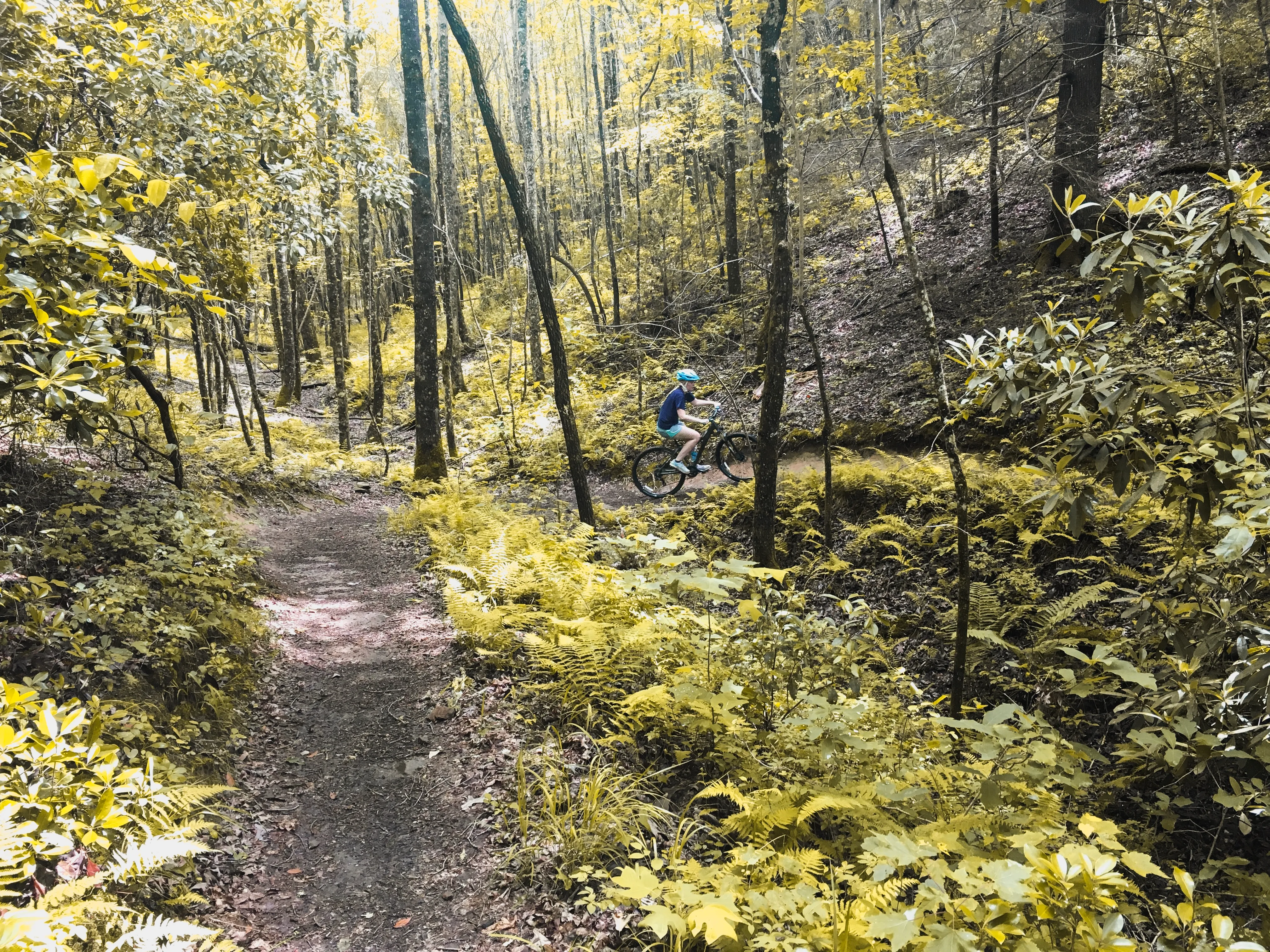Mountain Bike the Brush Creek Trail (Tanasi Trail System)