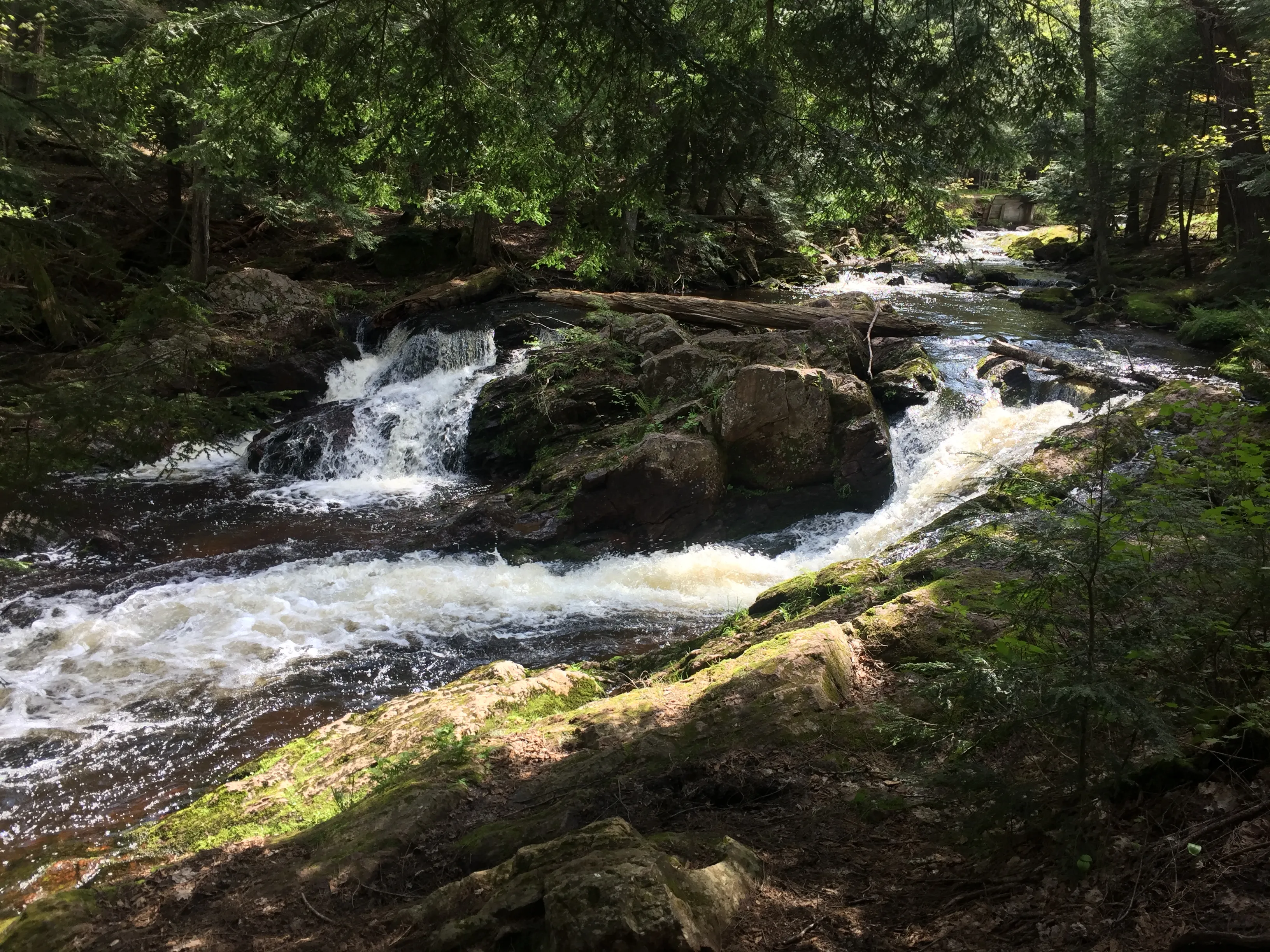 Backpack the Little Carp River Trail in the Porkies