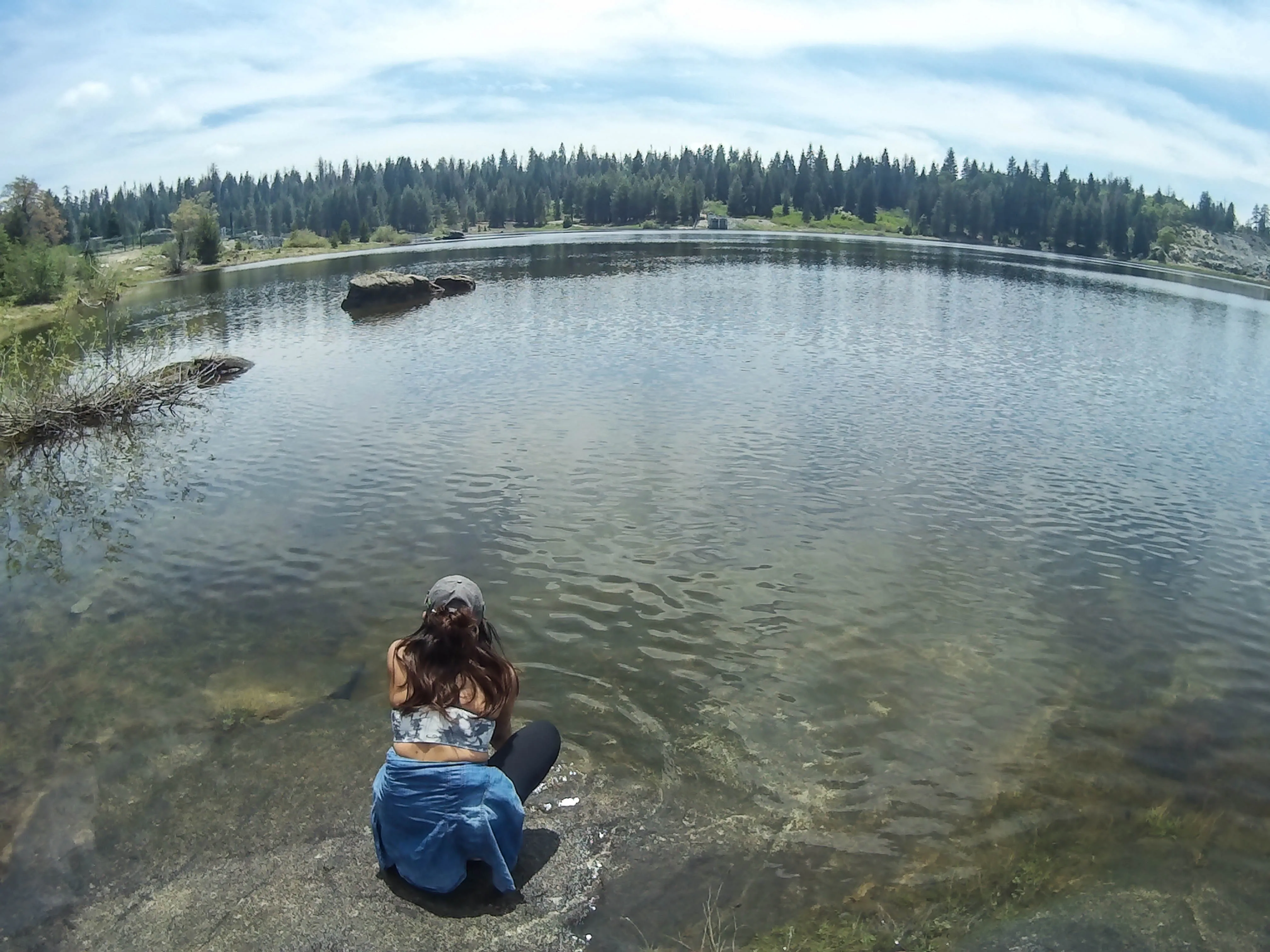 Balsam Forebay