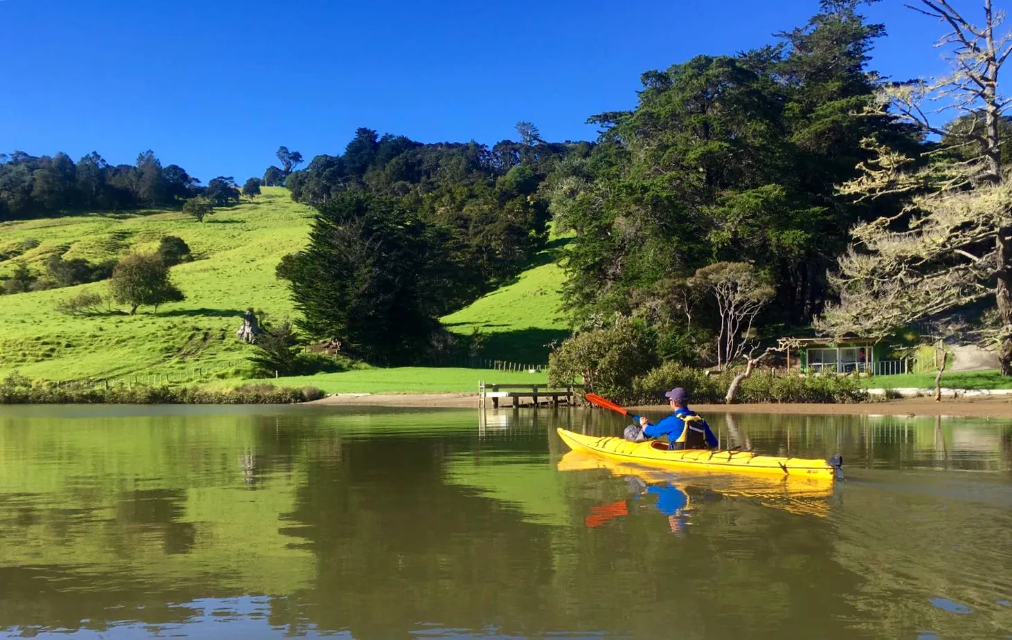 Paddle on the Puhoi River