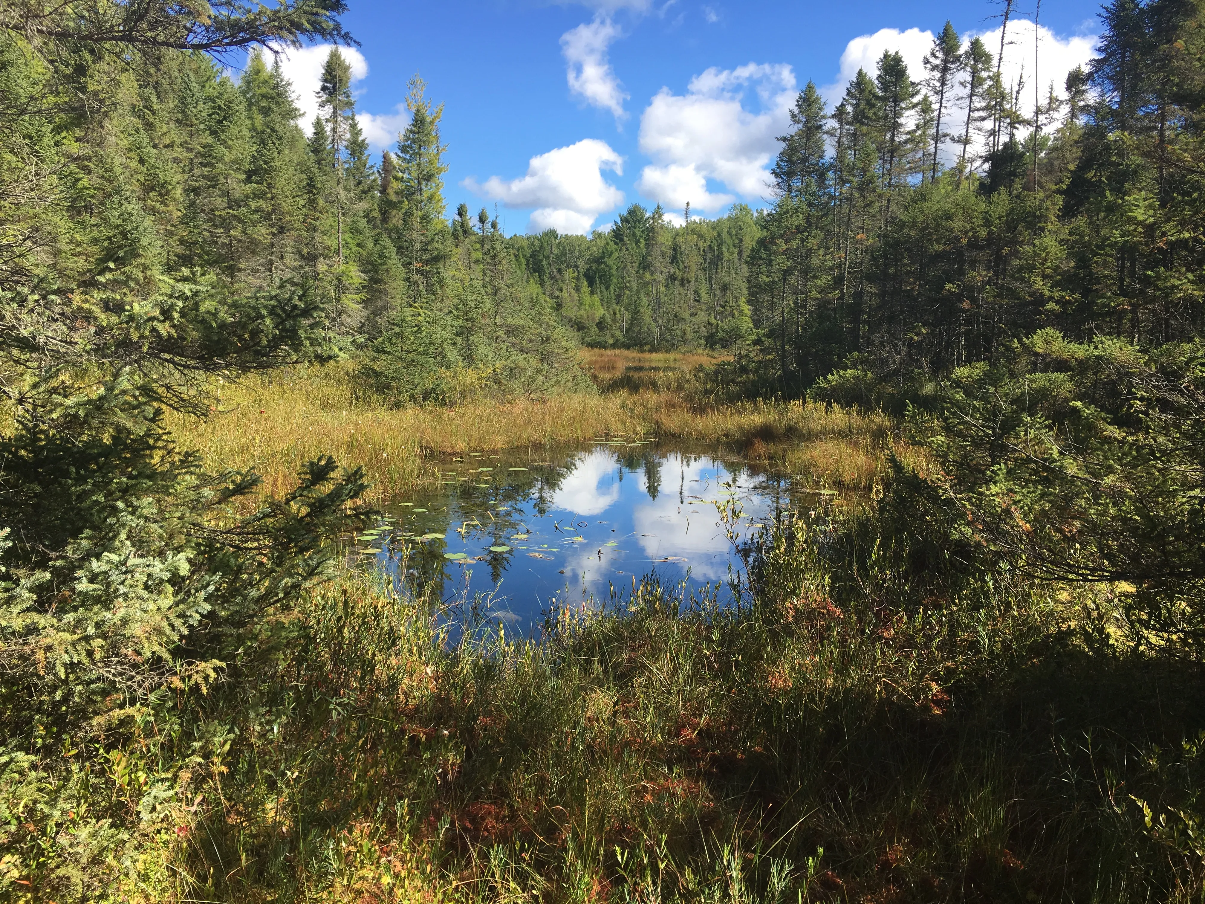 Hike or Bike the NHAL Raven Trails