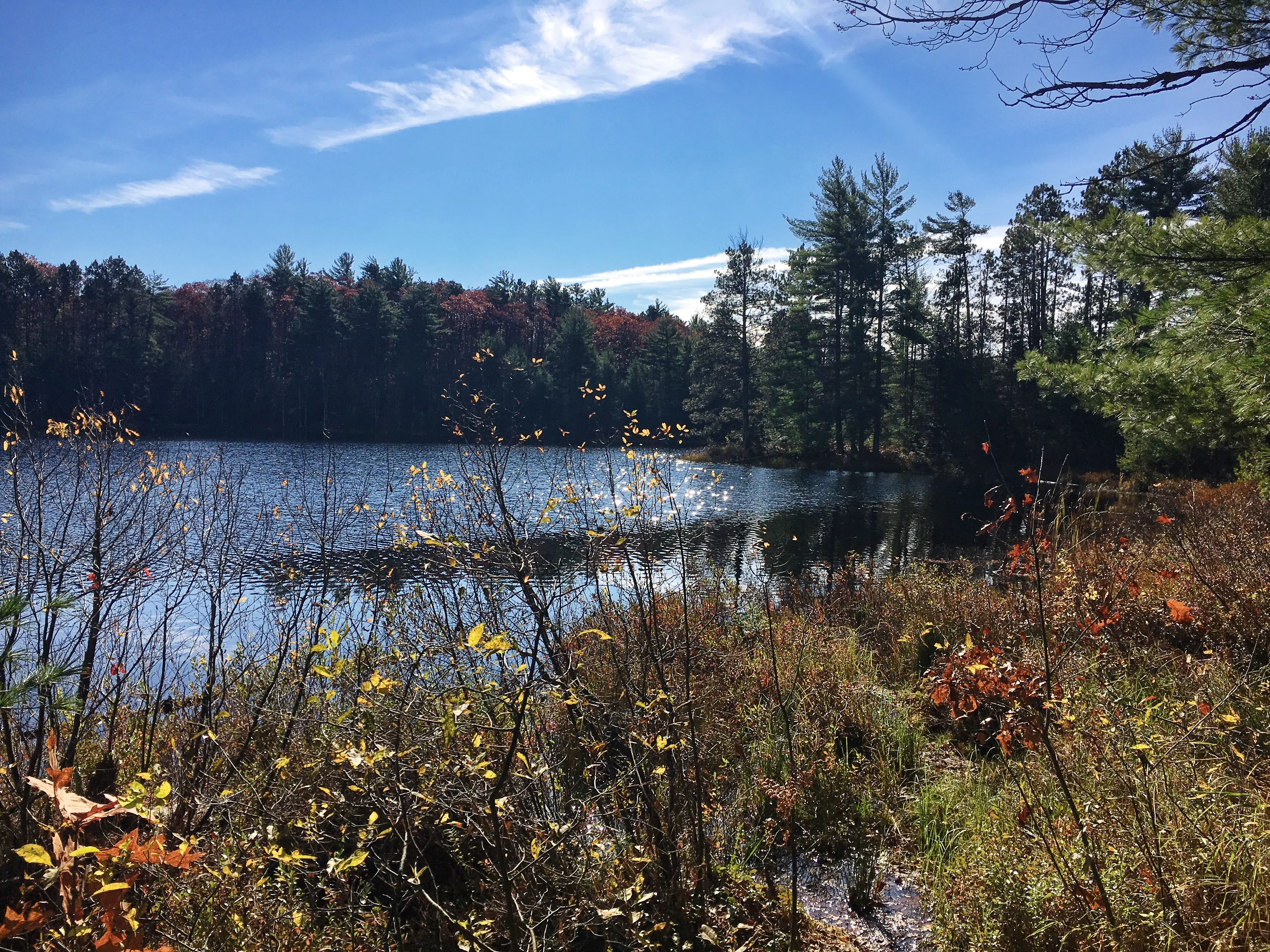 Hike the Fallison Lake Nature Trail
