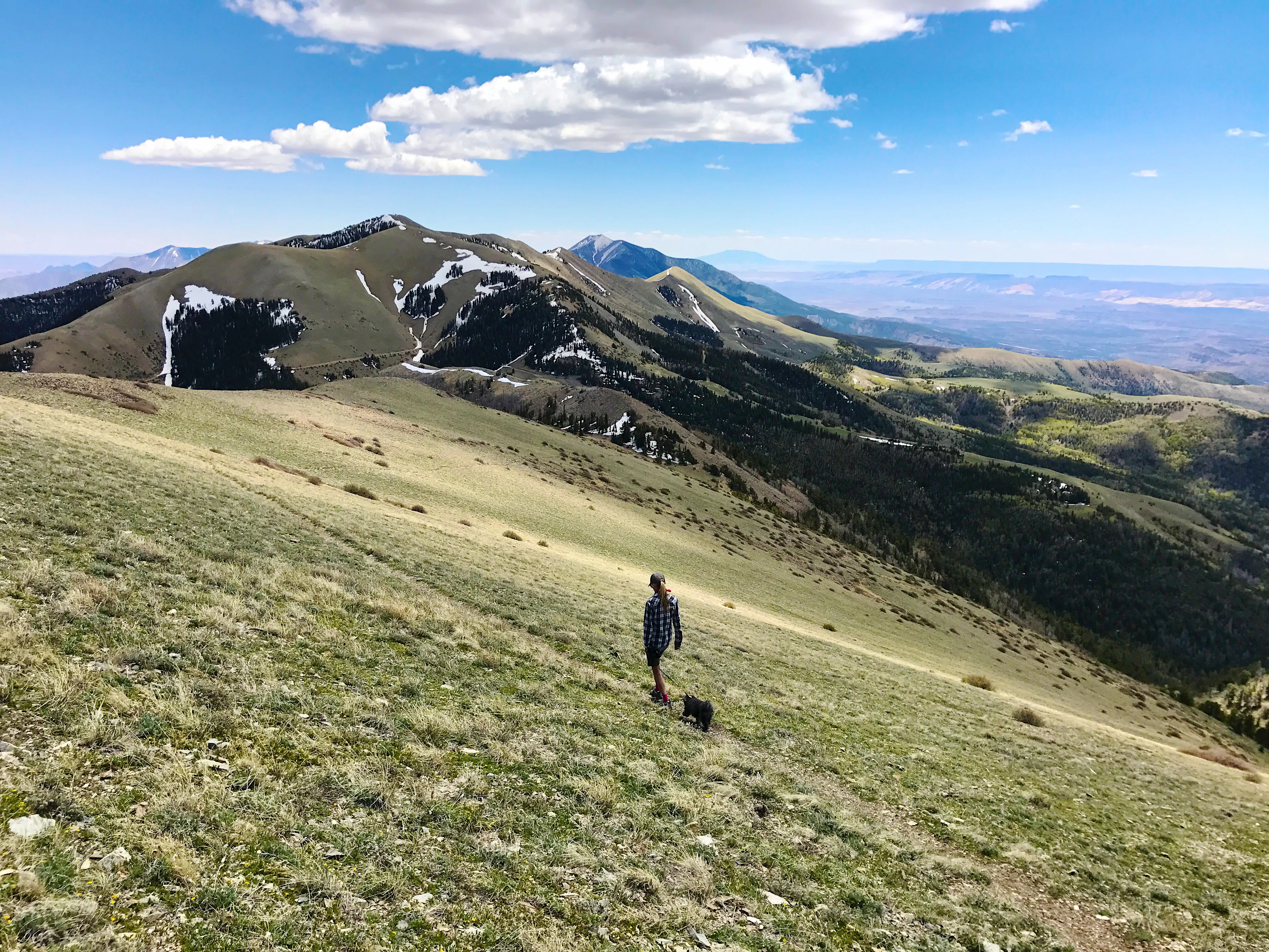 Hike Mount Ellen in Utah's Henry Mountains