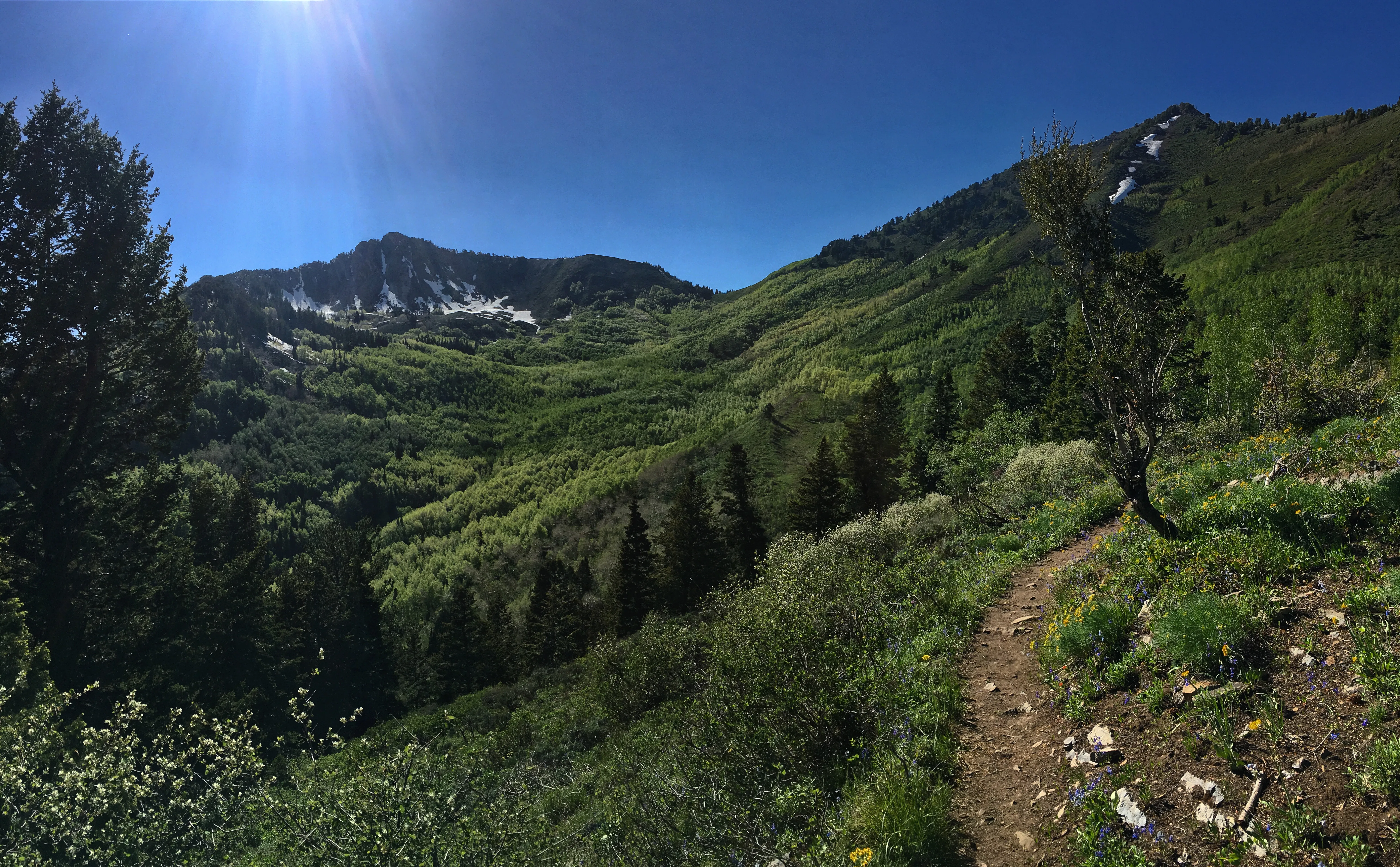 Hike or Trail Run Butler Fork