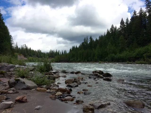 Fly Fish Lewis River