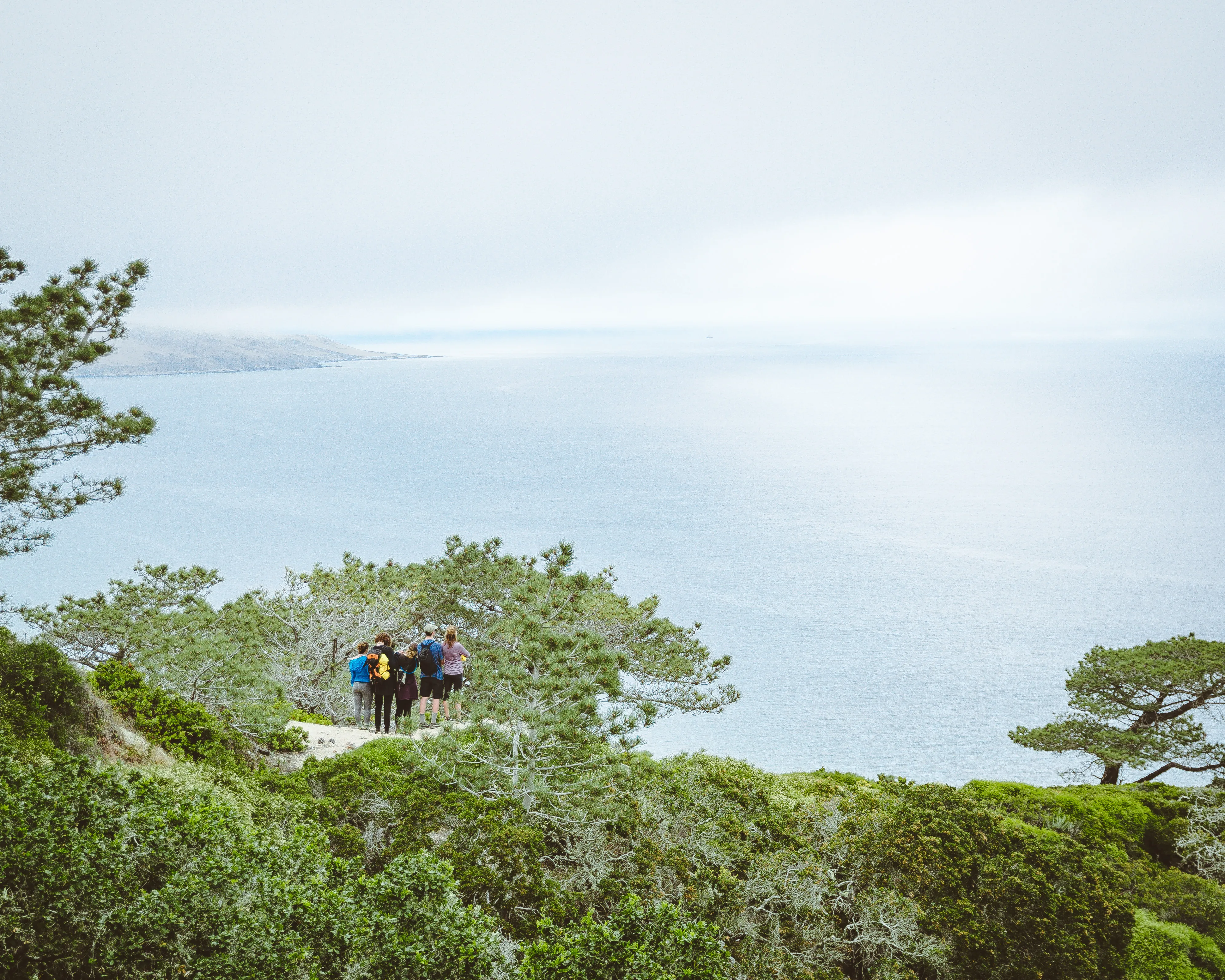 Torrey Pines Trail