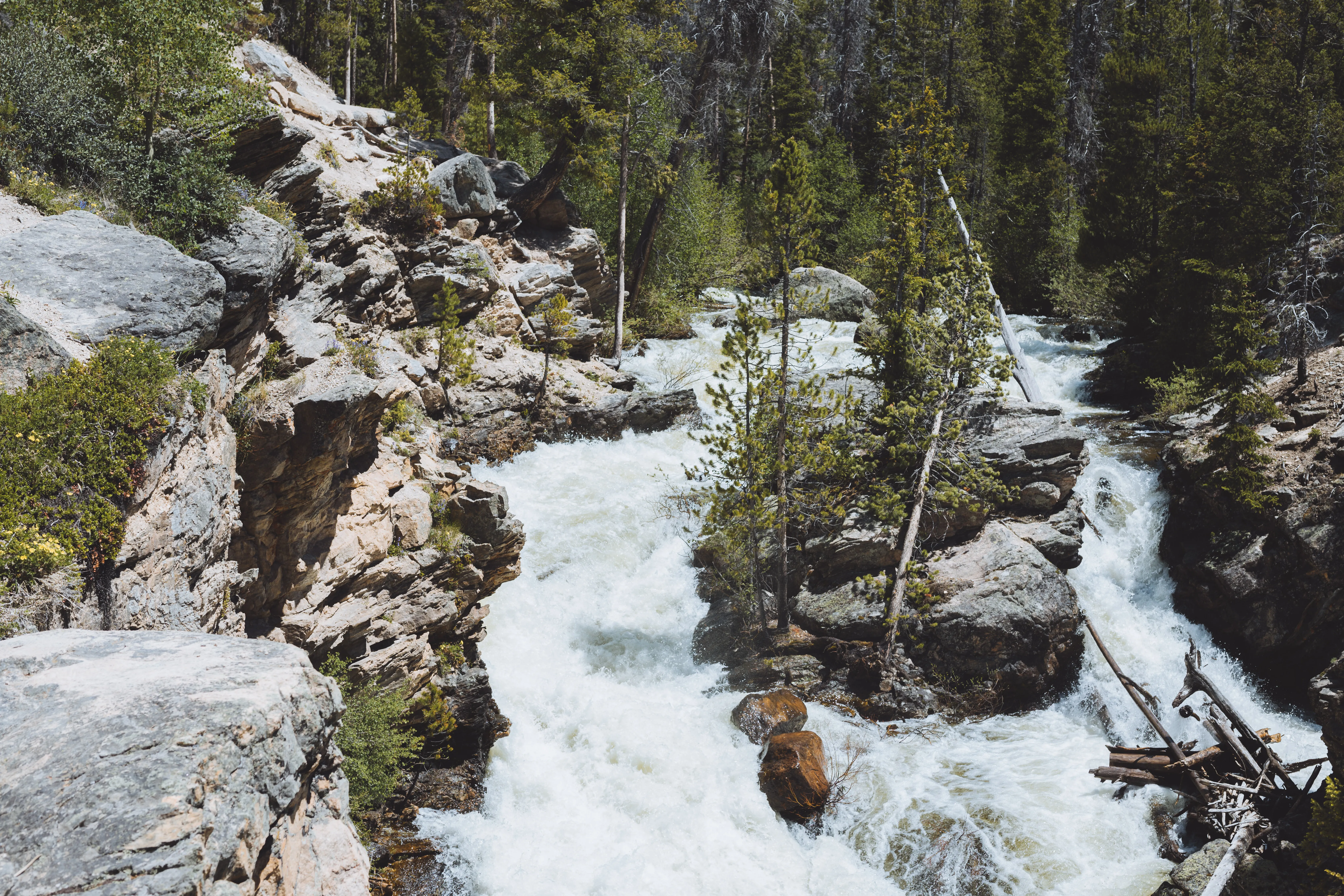 Hike to Adams Falls