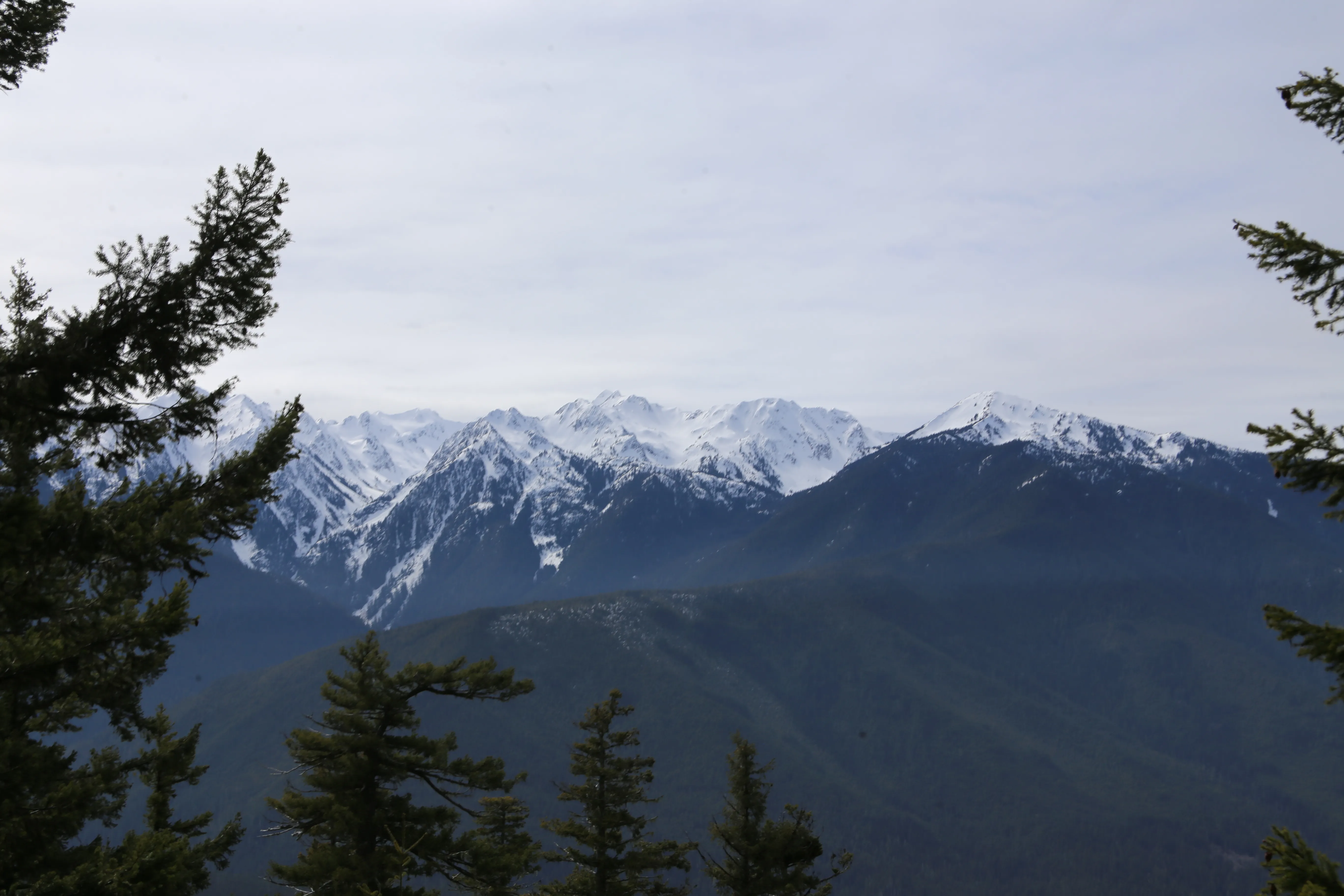  Wolf Creek Trail