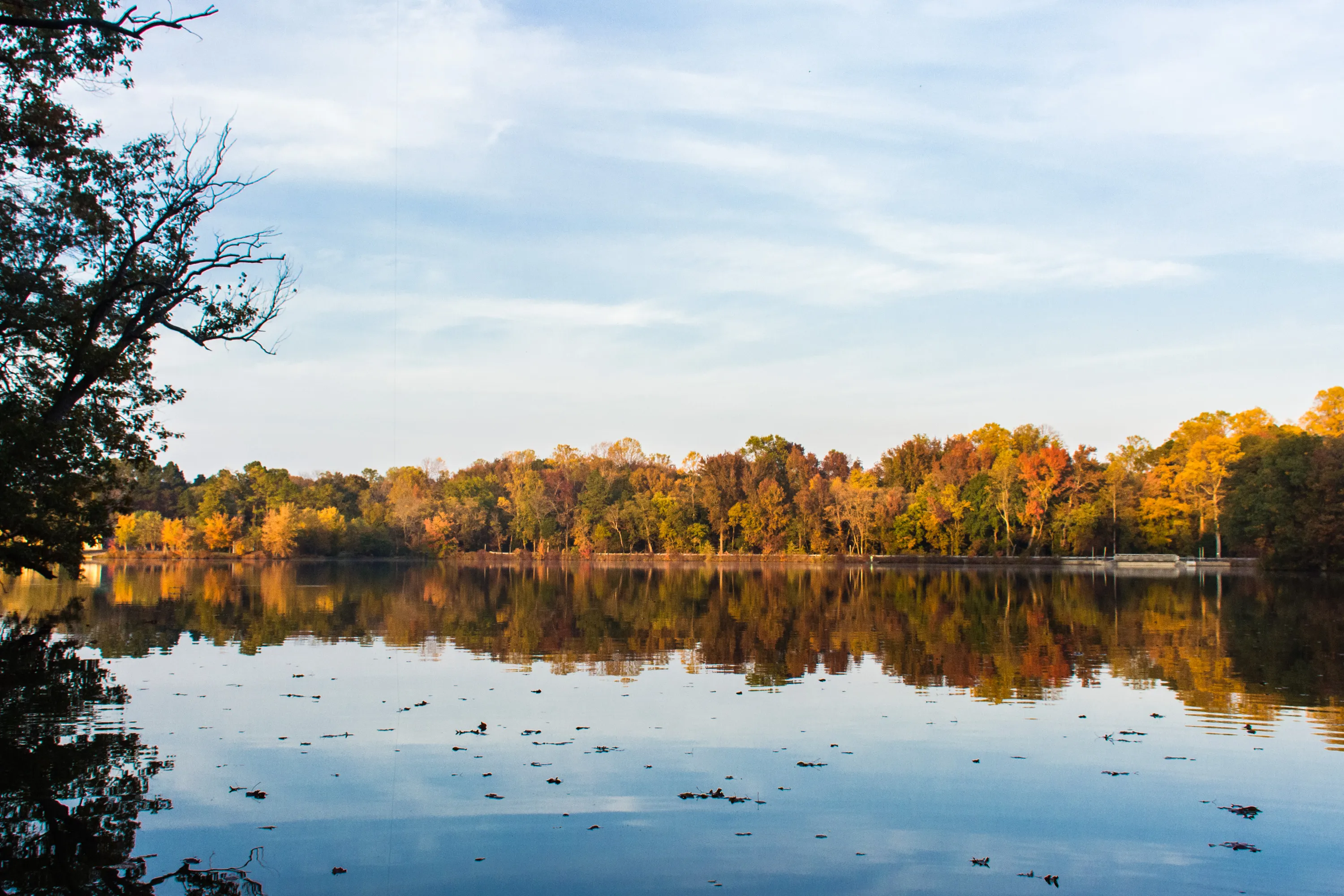 Camp at Killens Pond State Park