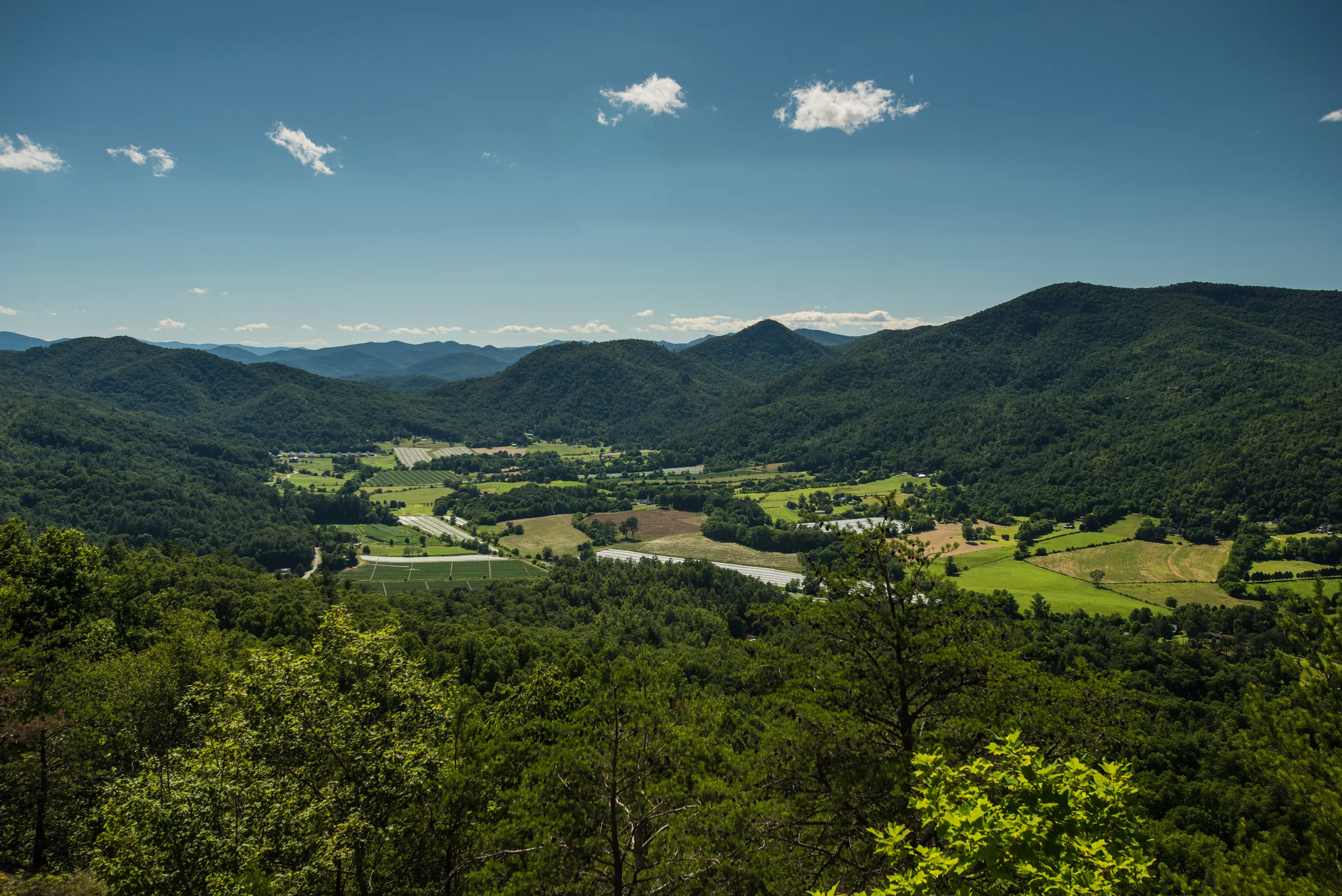 Hike the James E. Edmond trail to Lookoff Mountain Overlook