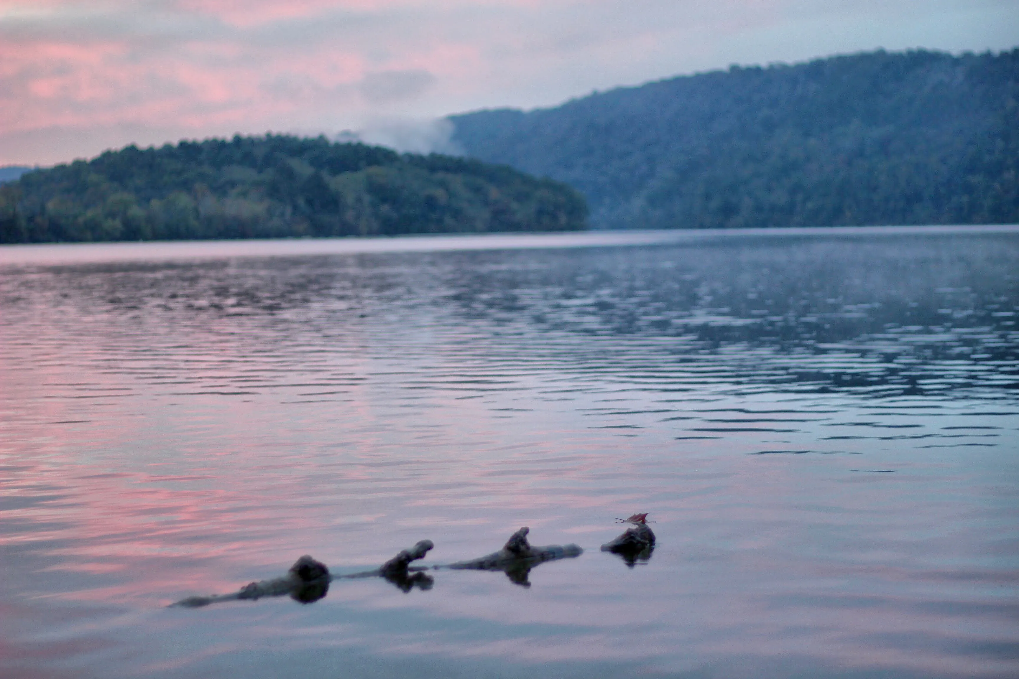 Camp at Lake Catherine State Park